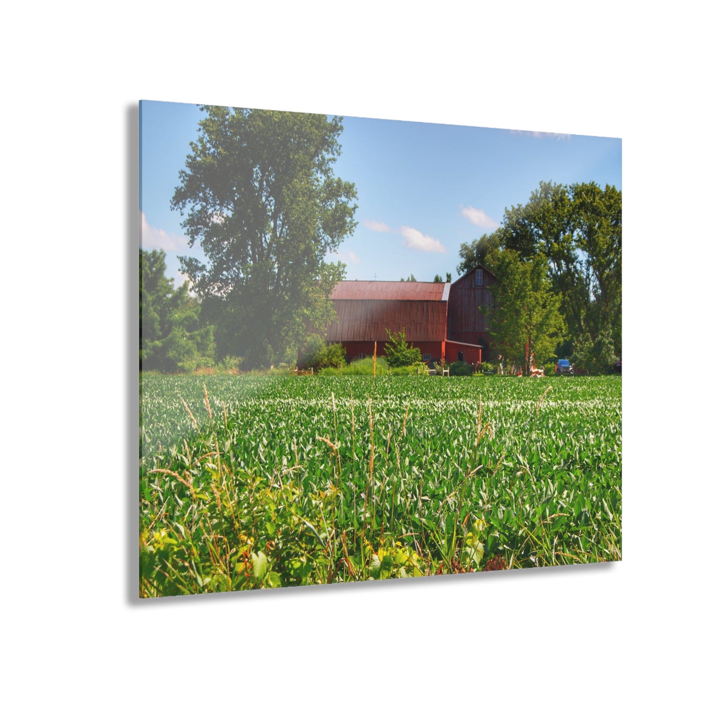 U R There Photography Canada Road Hidden Red Rustic Farmhouse Acrylic Wall Print