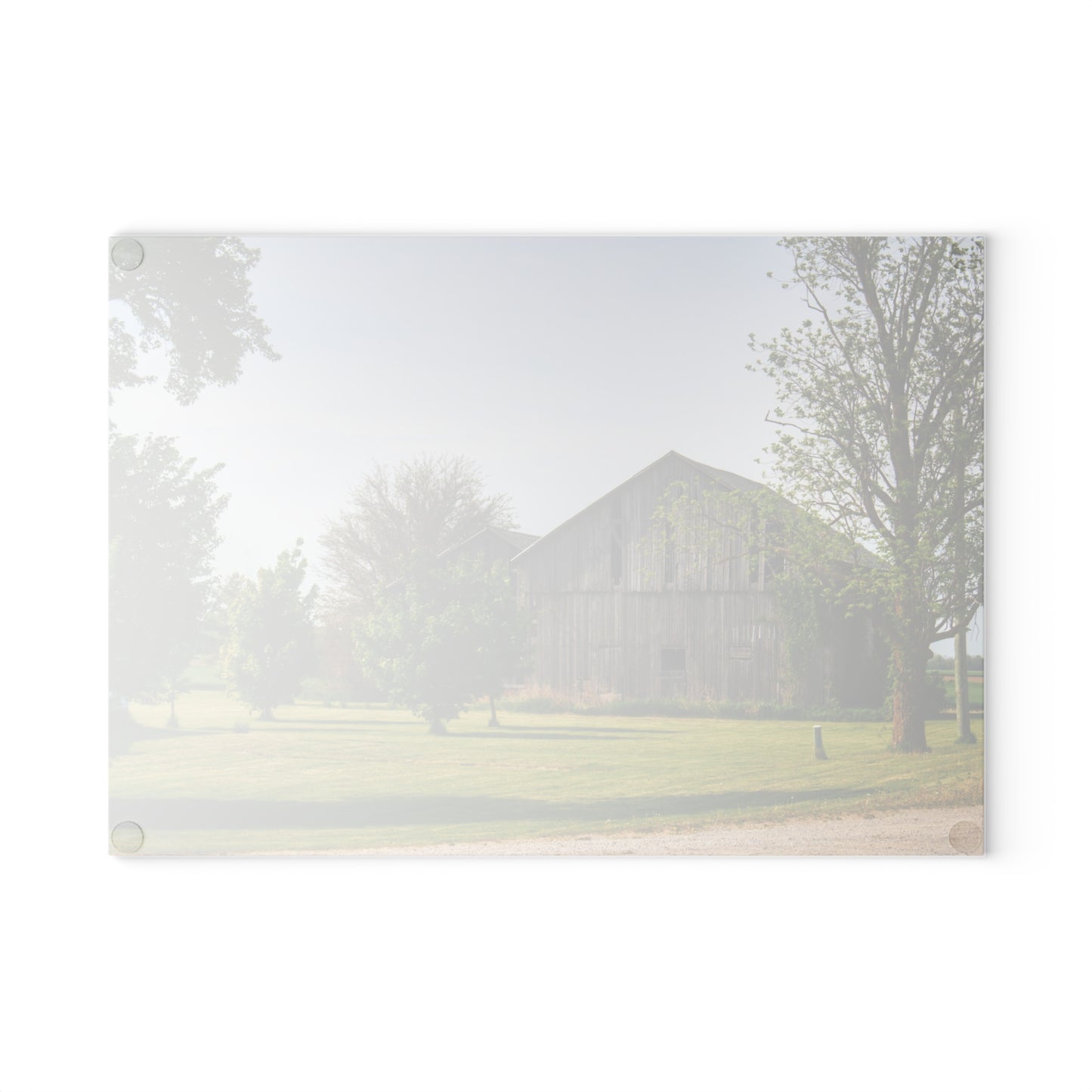 U R There Photography Caro Road Twin Greys II Rustic Farmhouse Tempered-Glass Cutting Board