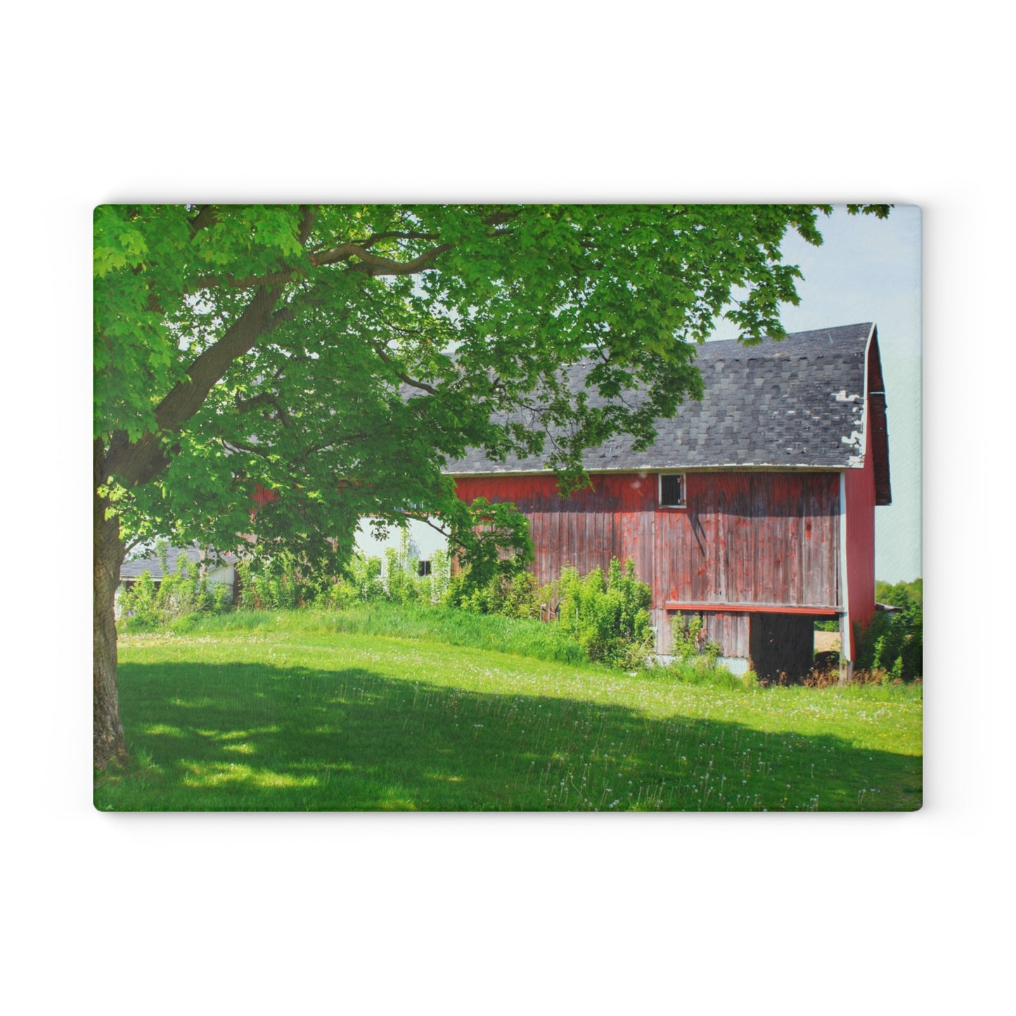 U R There Photography Colwood Road Red Rustic Farmhouse Tempered-Glass Cutting Board