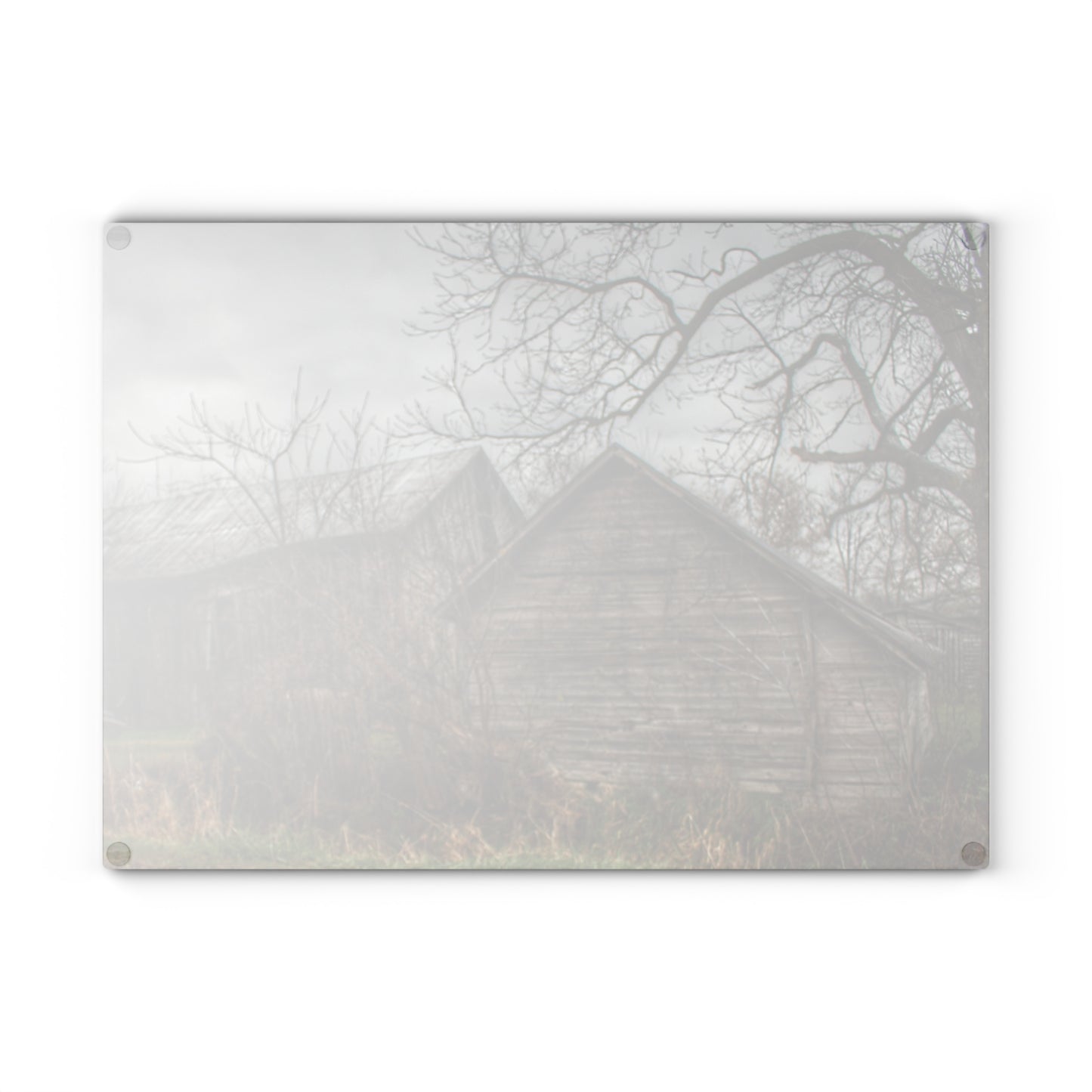 U R There Photography Bowers Road Greys II Rustic Farmhouse Tempered-Glass Cutting Board