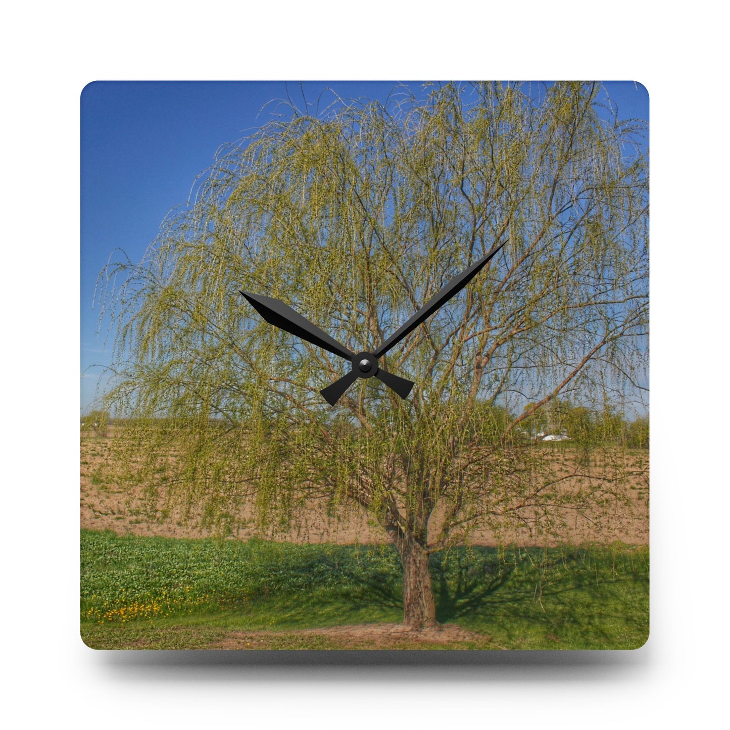 U R There Photography Spring Farm Willow Tree Rustic Farmhouse Acrylic Analog Wall Clock