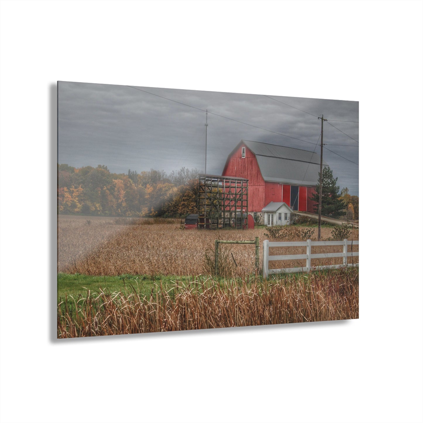 U R There Photography Barnes Road Red in Fall Rustic Farmhouse Acrylic Wall Print