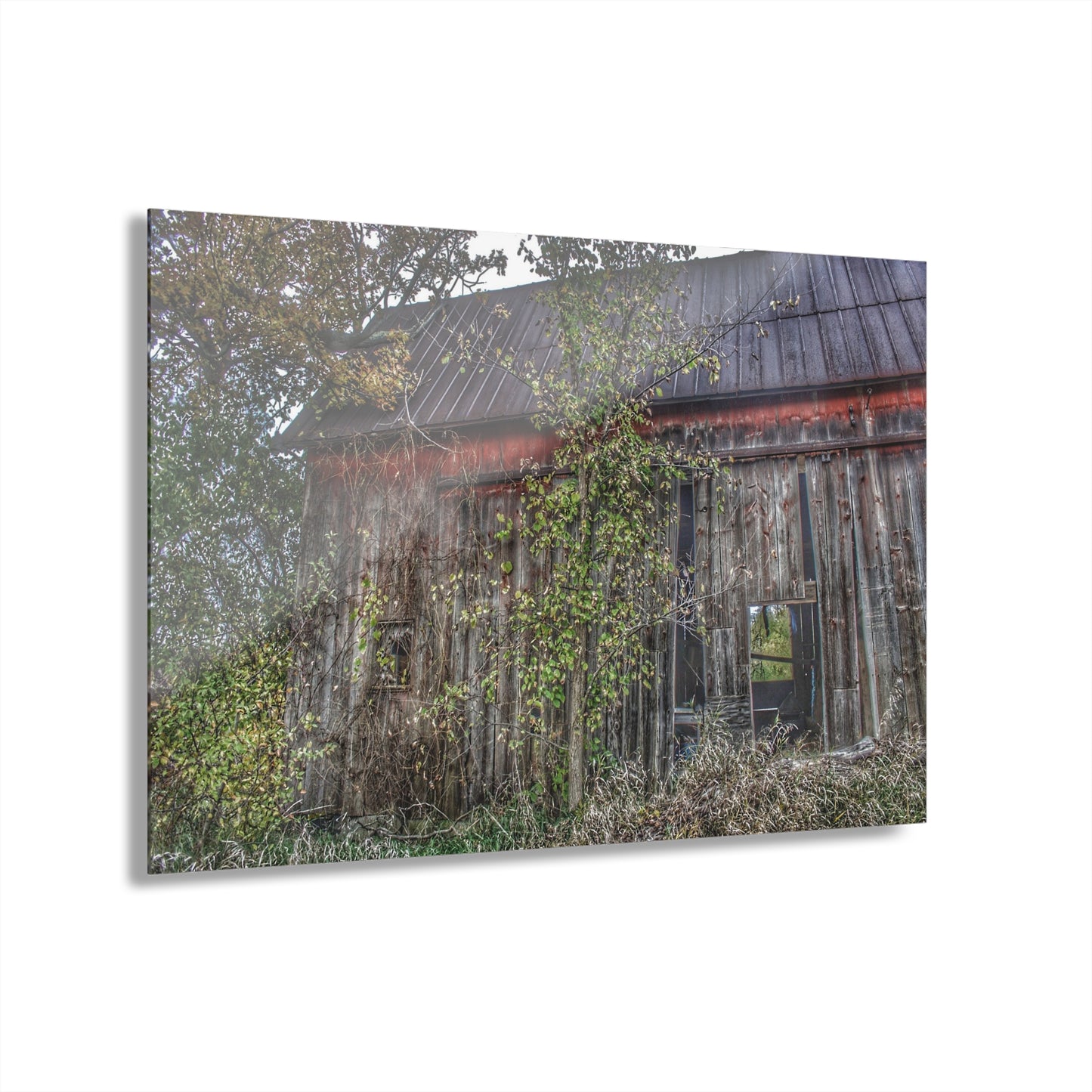 U R There Photography Annie's Barn II Rustic Farmhouse Acrylic Wall Print