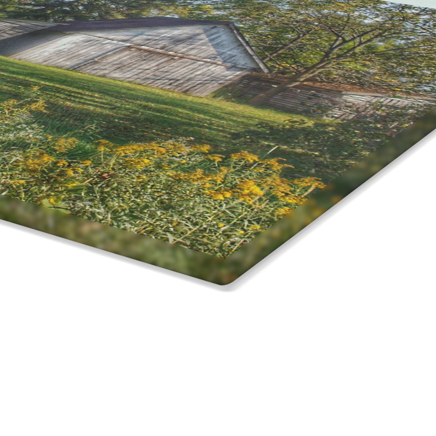 U R There Photography Bowers Road Little White Rustic Farmhouse Tempered-Glass Cutting Board
