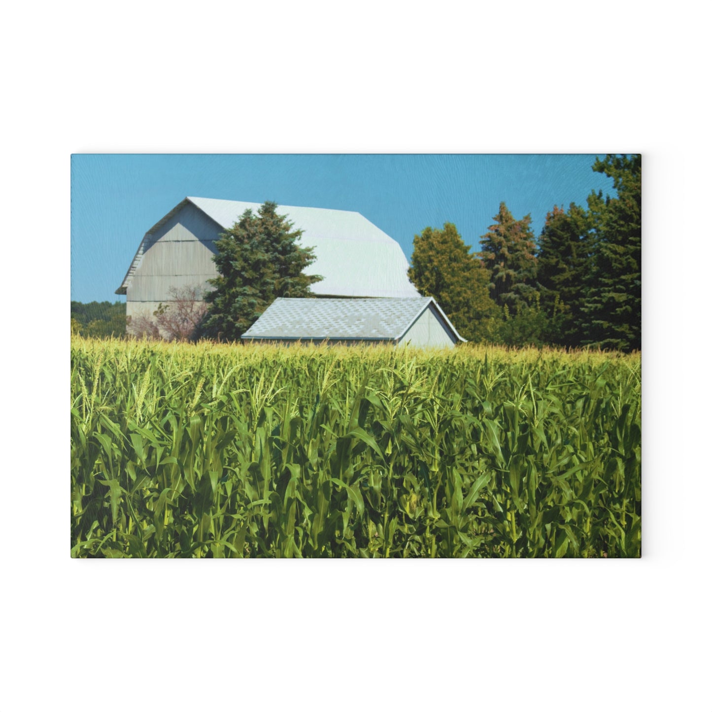 U R There Photography White Cornfield Barn Rustic Farmhouse Tempered-Glass Cutting Board
