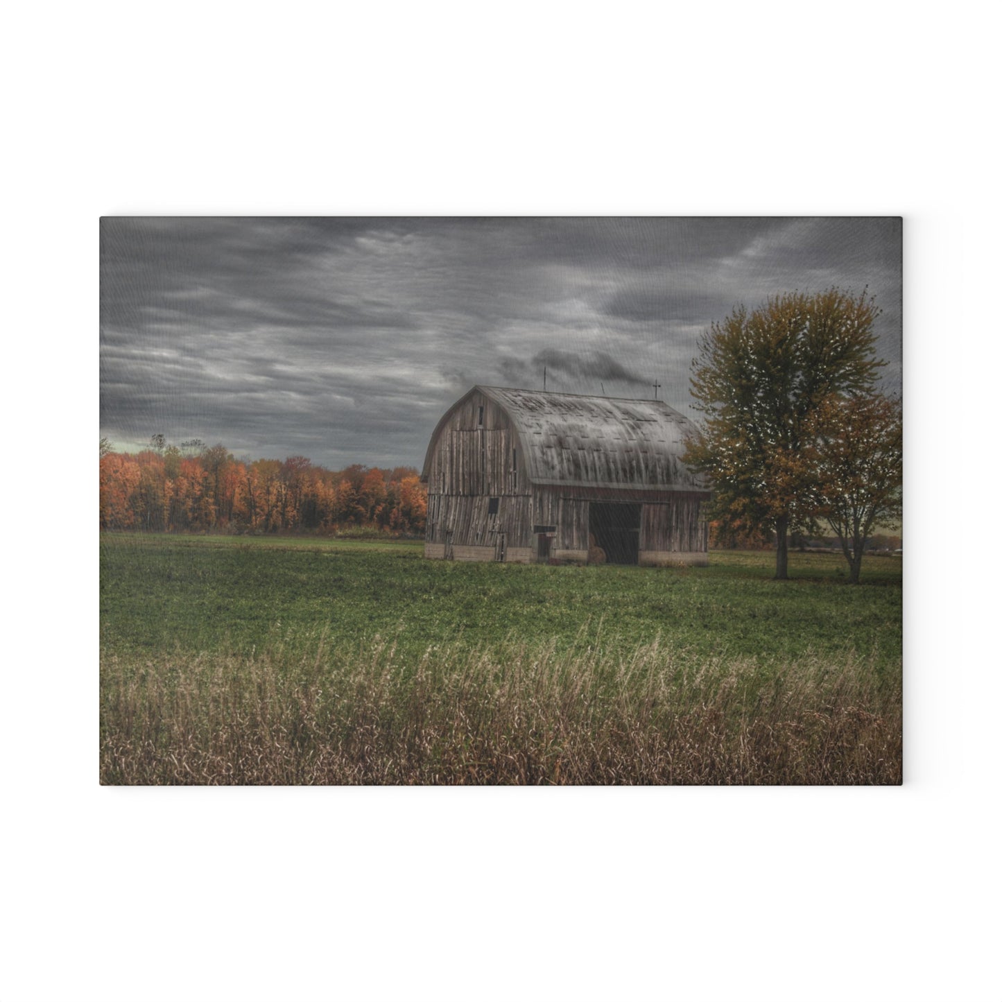 U R There Photography Bray Road Grey in the Fall Rustic Farmhouse Tempered-Glass Cutting Board