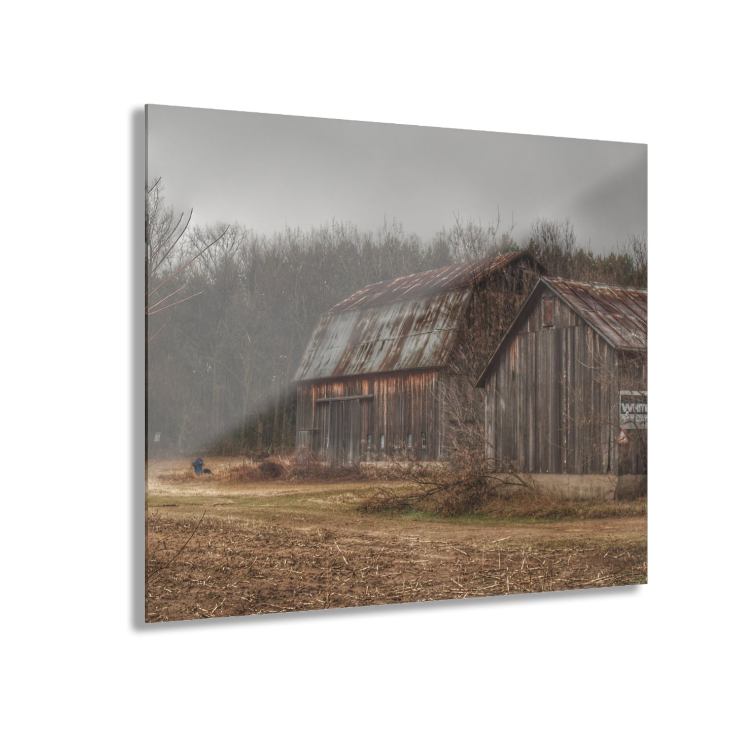 U R There Photography Arbela Road Greys Rustic Farmhouse Acrylic Wall Print