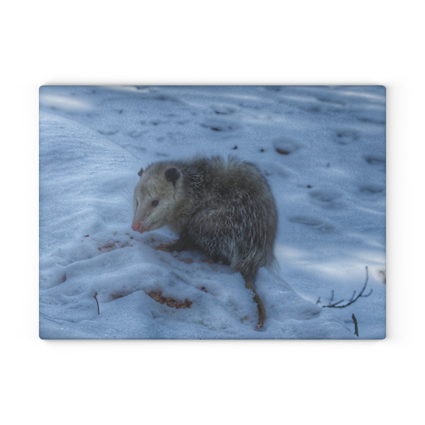 U R There Photography Sutton Road Possum Rustic Farmhouse Tempered-Glass Cutting Board