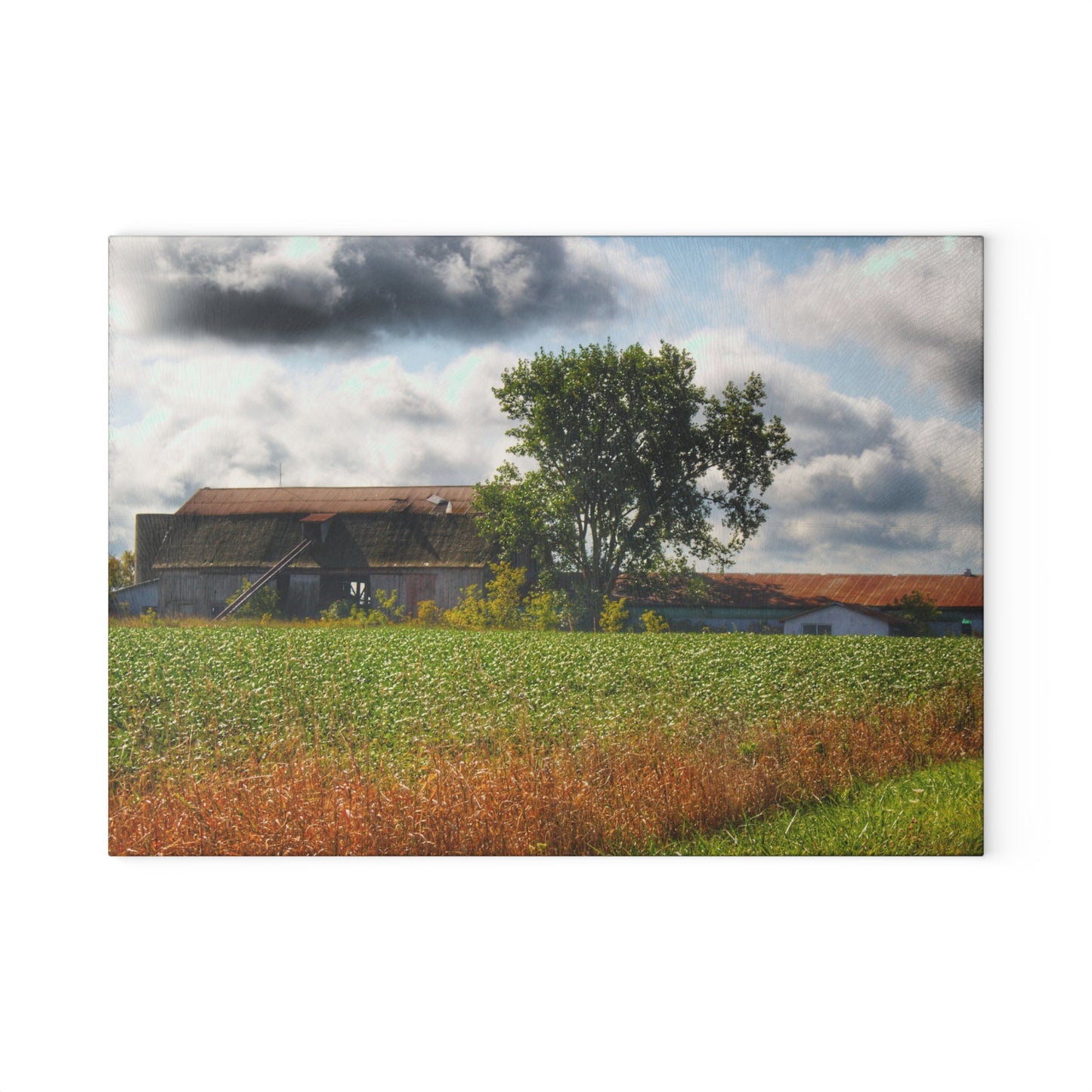 U R There Photography Silverwood Haybarn Rustic Farmhouse Tempered-Glass Cutting Board