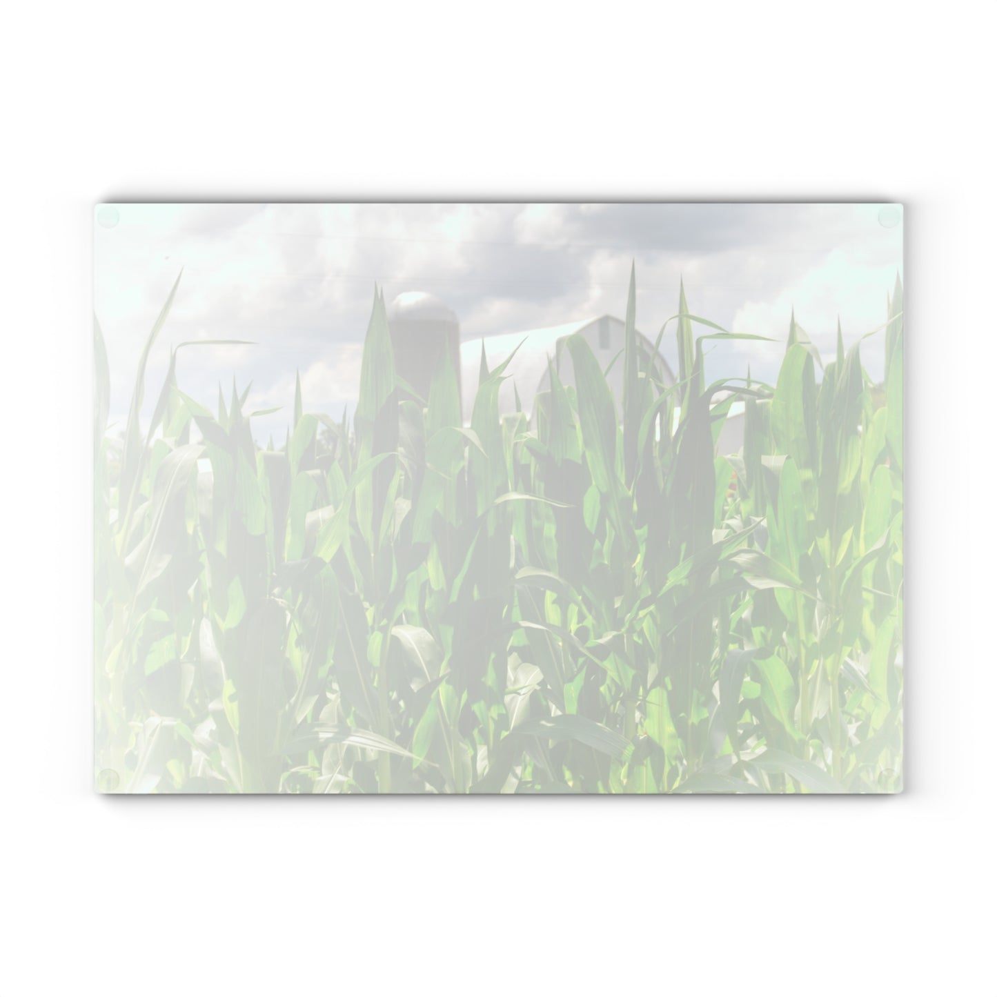 U R There Photography Beyond the Corn in Millington Rustic Farmhouse Tempered-Glass Cutting Board