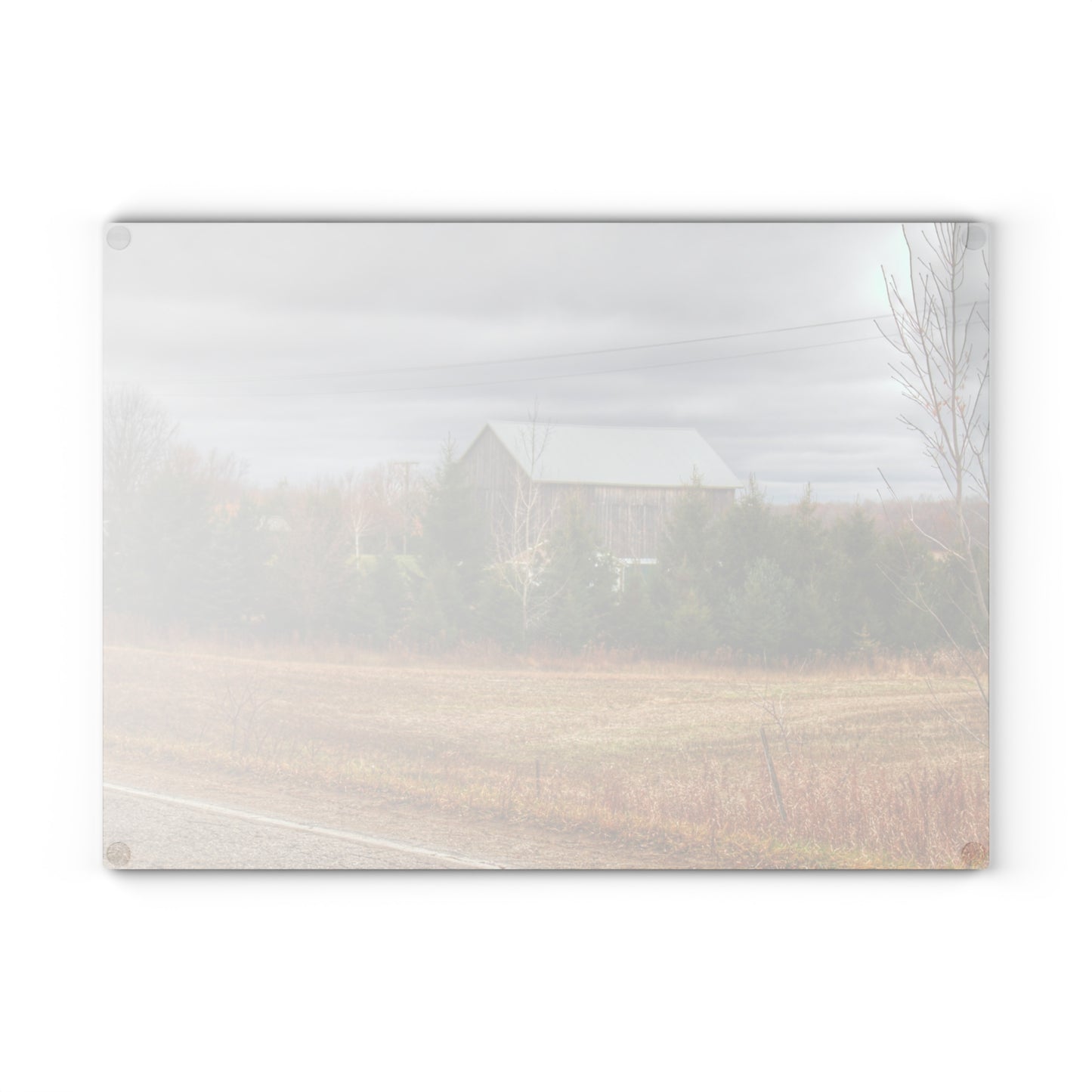 U R There Photography Burnside Grey Rustic Farmhouse Tempered-Glass Cutting Board