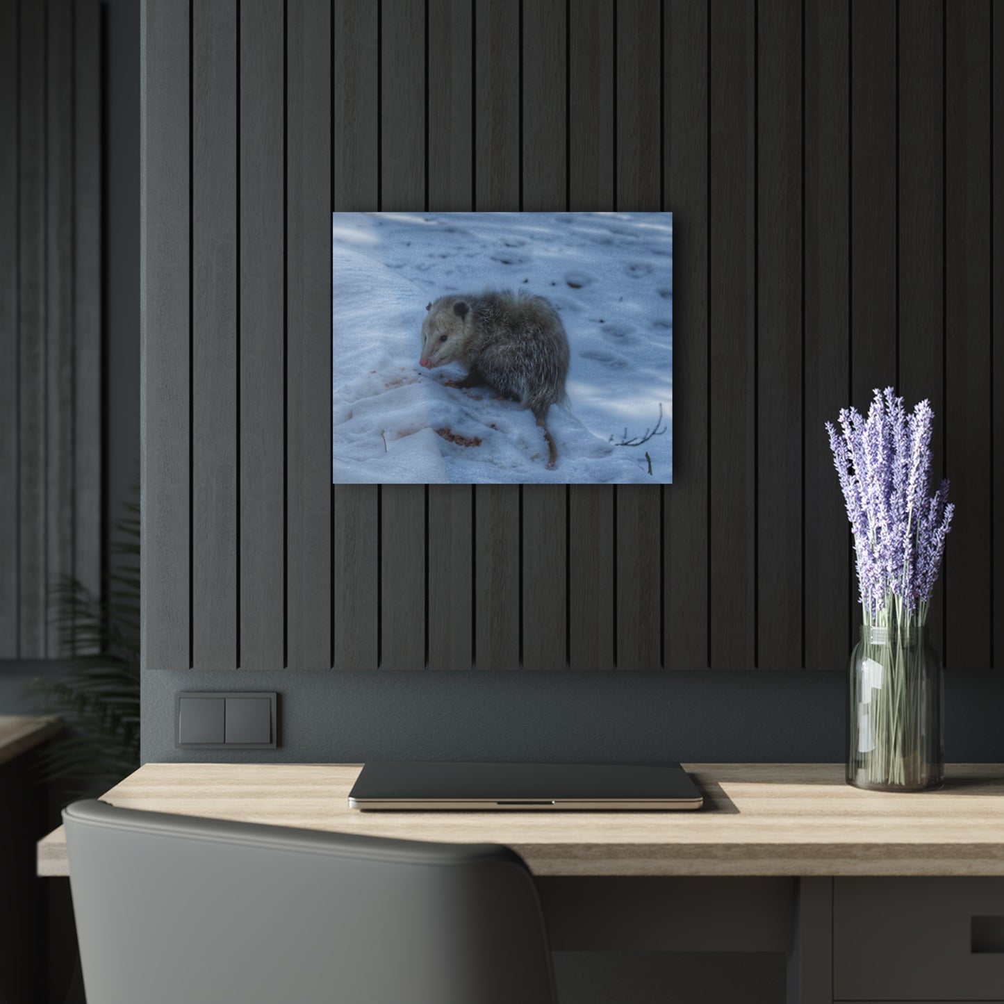 U R There Photography Sutton Road Possum Rustic Farmhouse Acrylic Wall Print