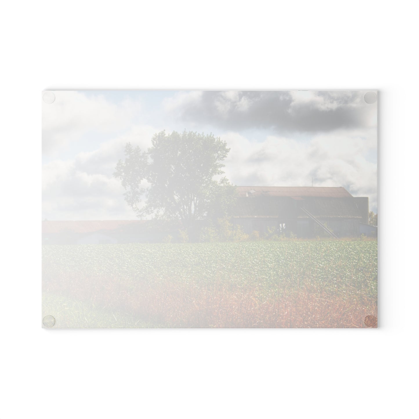 U R There Photography Silverwood Haybarn Rustic Farmhouse Tempered-Glass Cutting Board