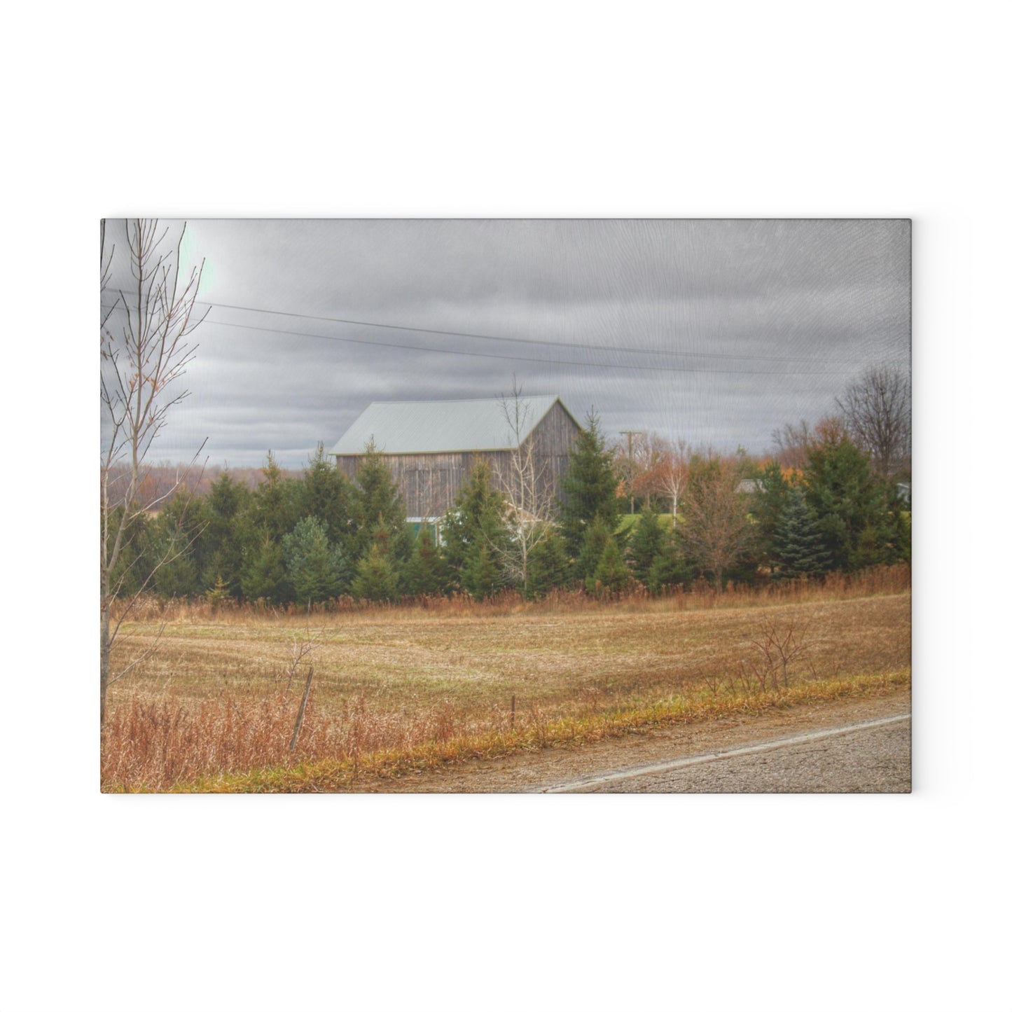 U R There Photography Burnside Grey Rustic Farmhouse Tempered-Glass Cutting Board