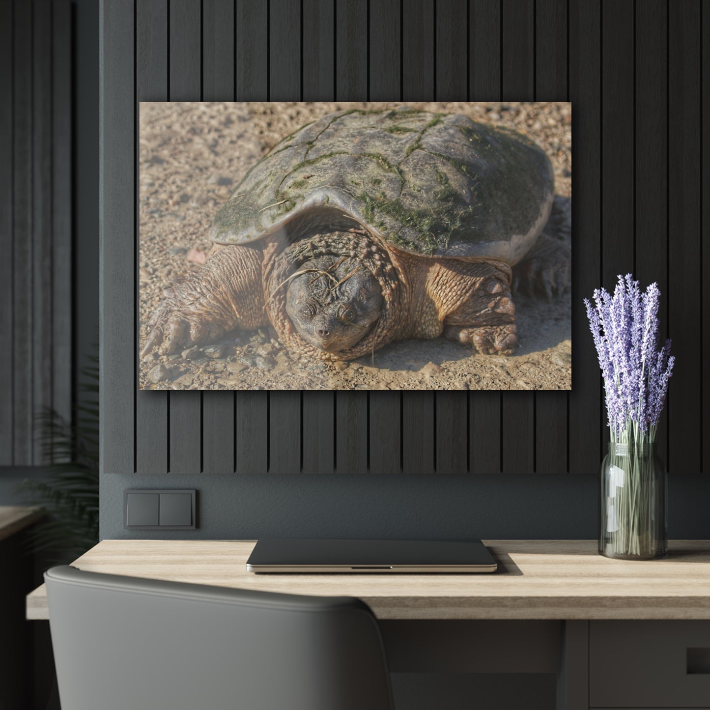 U R There Photography Fargo Road Turtle Rustic Farmhouse Acrylic Wall Print