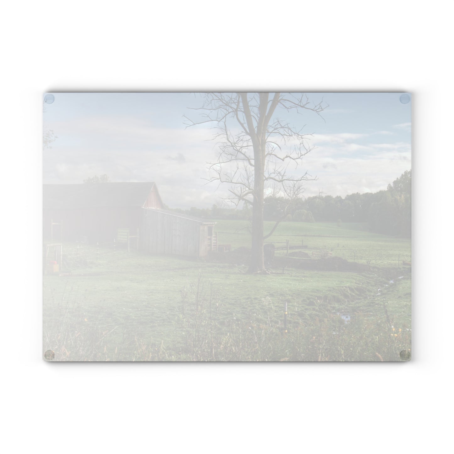 U R There Photography West Oregon Road Hidden Red III Rustic Farmhouse Tempered-Glass Cutting Board