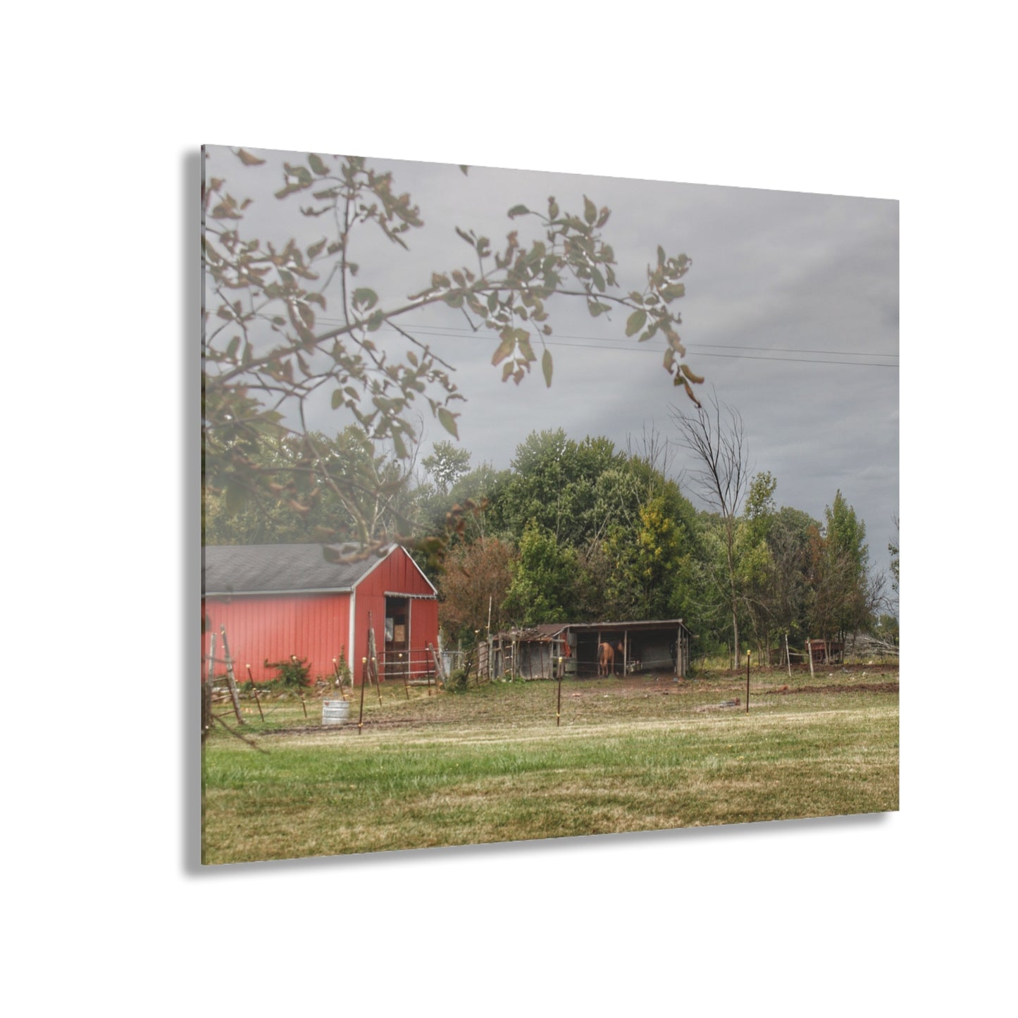 U R There Photography Petz Road Farm Rustic Farmhouse Acrylic Wall Print