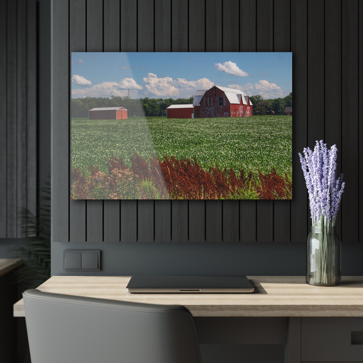U R There Photography South Gera Road Red Rustic Farmhouse Acrylic Wall Print