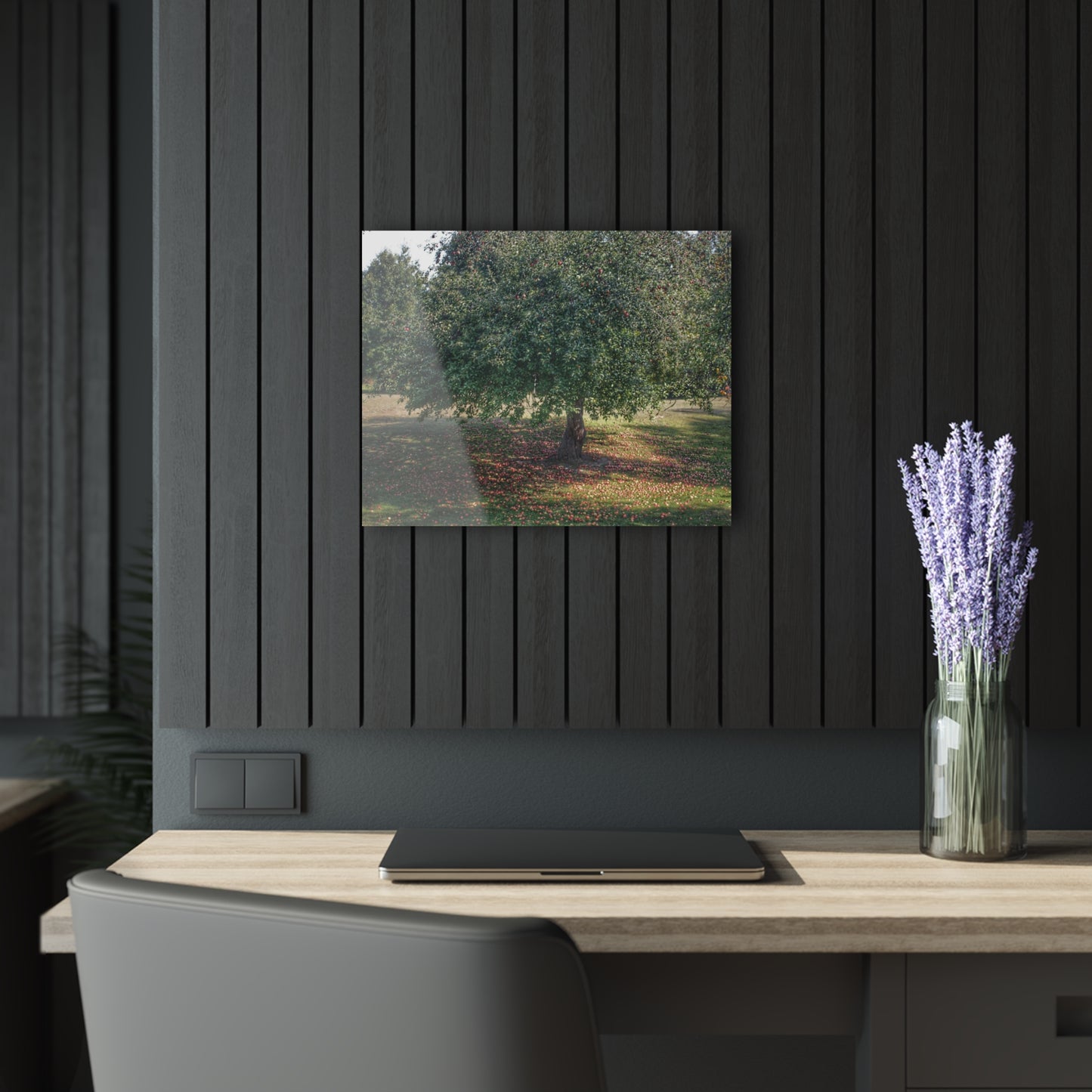 U R There Photography Frankenmuth Apple Tree Rustic Farmhouse Acrylic Wall Print