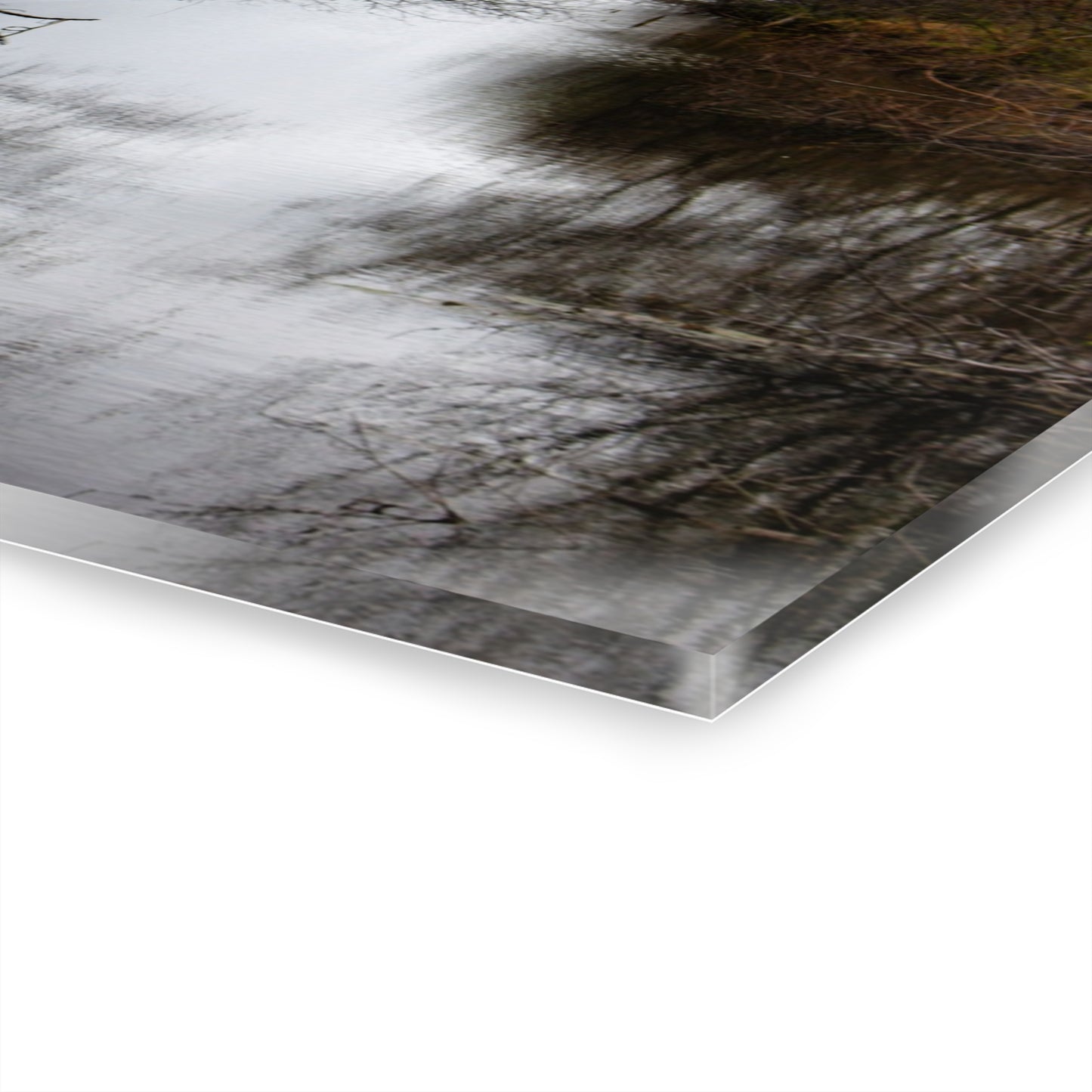 U R There Photography Private Pathways Rustic Farmhouse Acrylic Wall Print