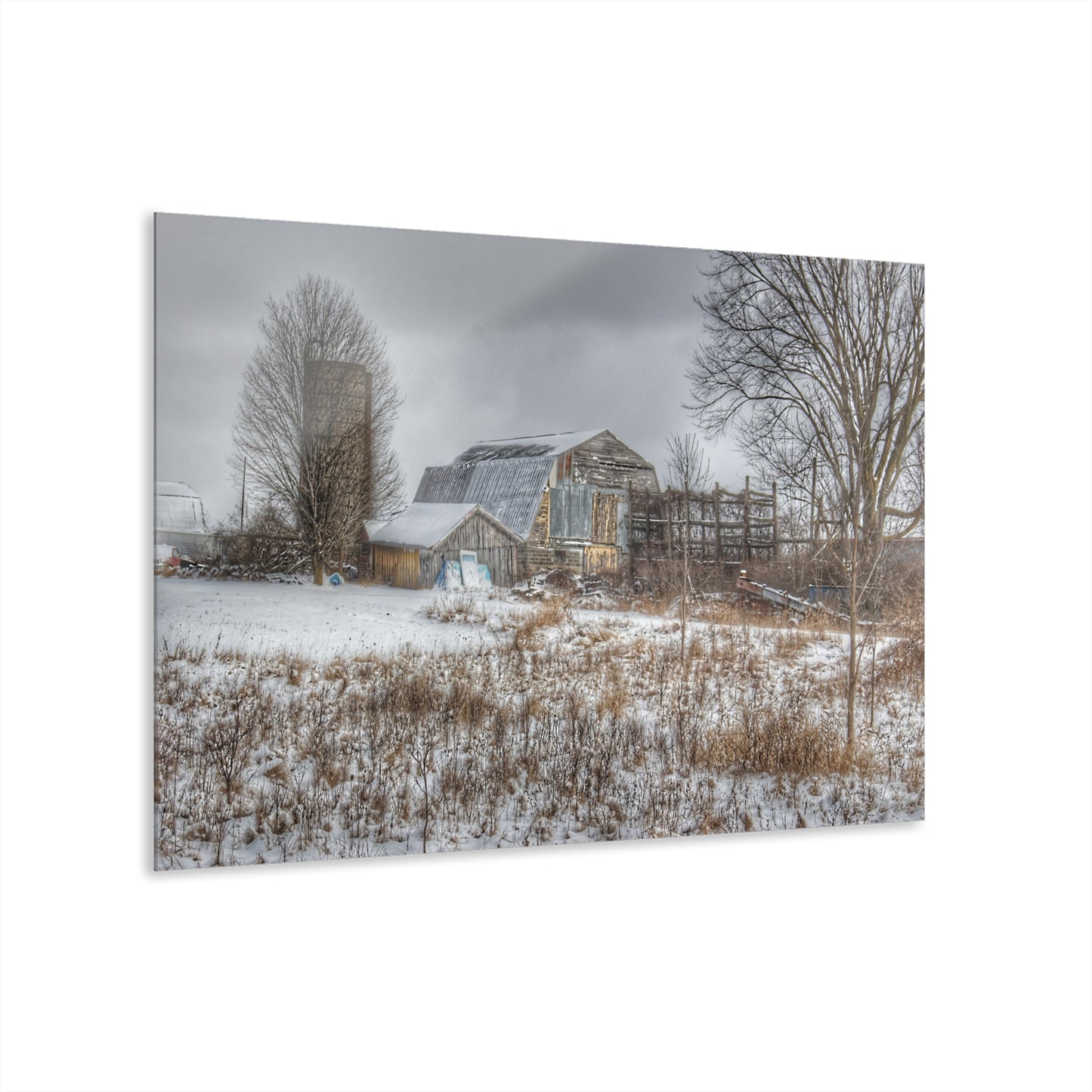 U R There Photography Vermilya Grey and Silo Rustic Farmhouse Acrylic Wall Print