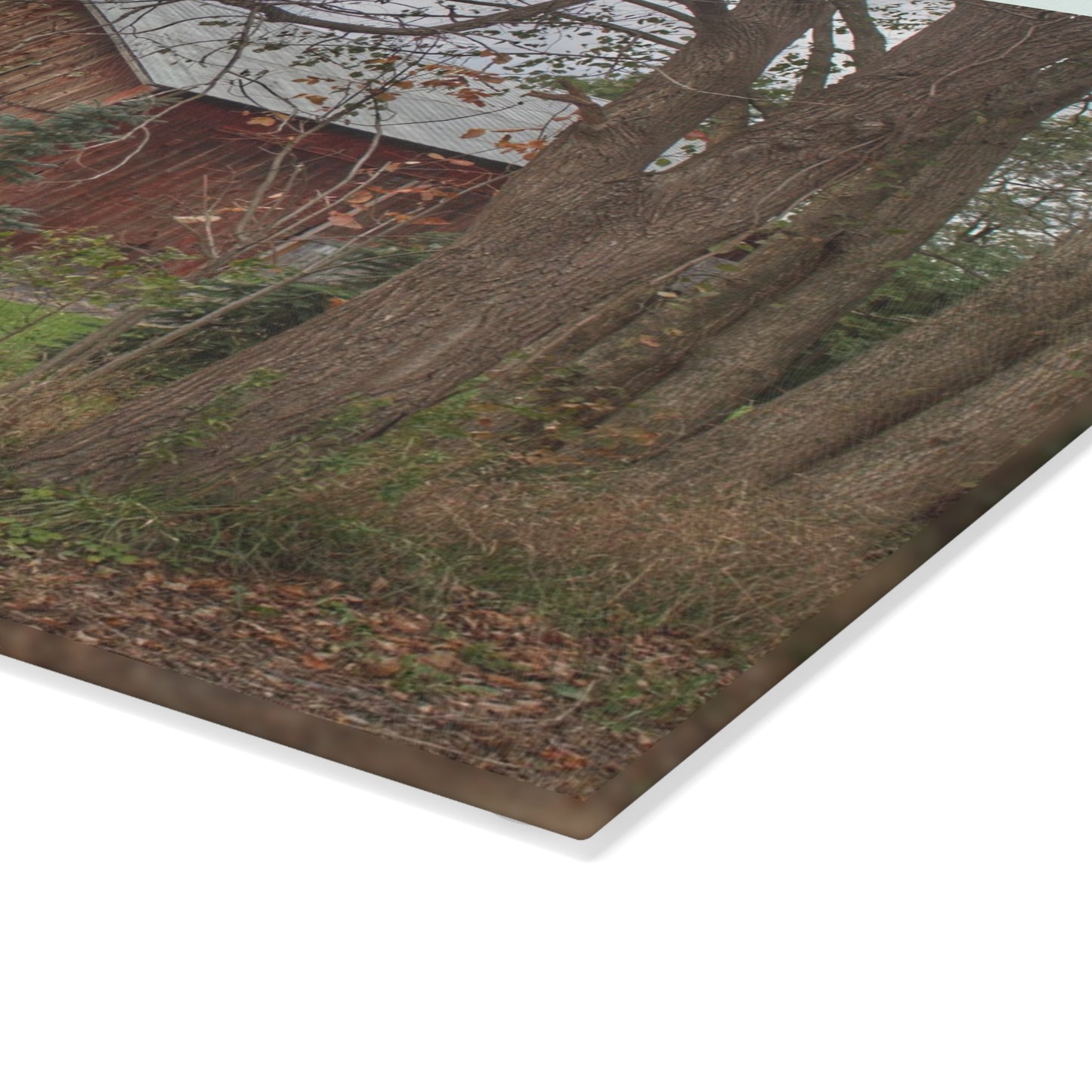 U R There Photography Big Fish Lake Road Red Rustic Farmhouse Tempered-Glass Cutting Board