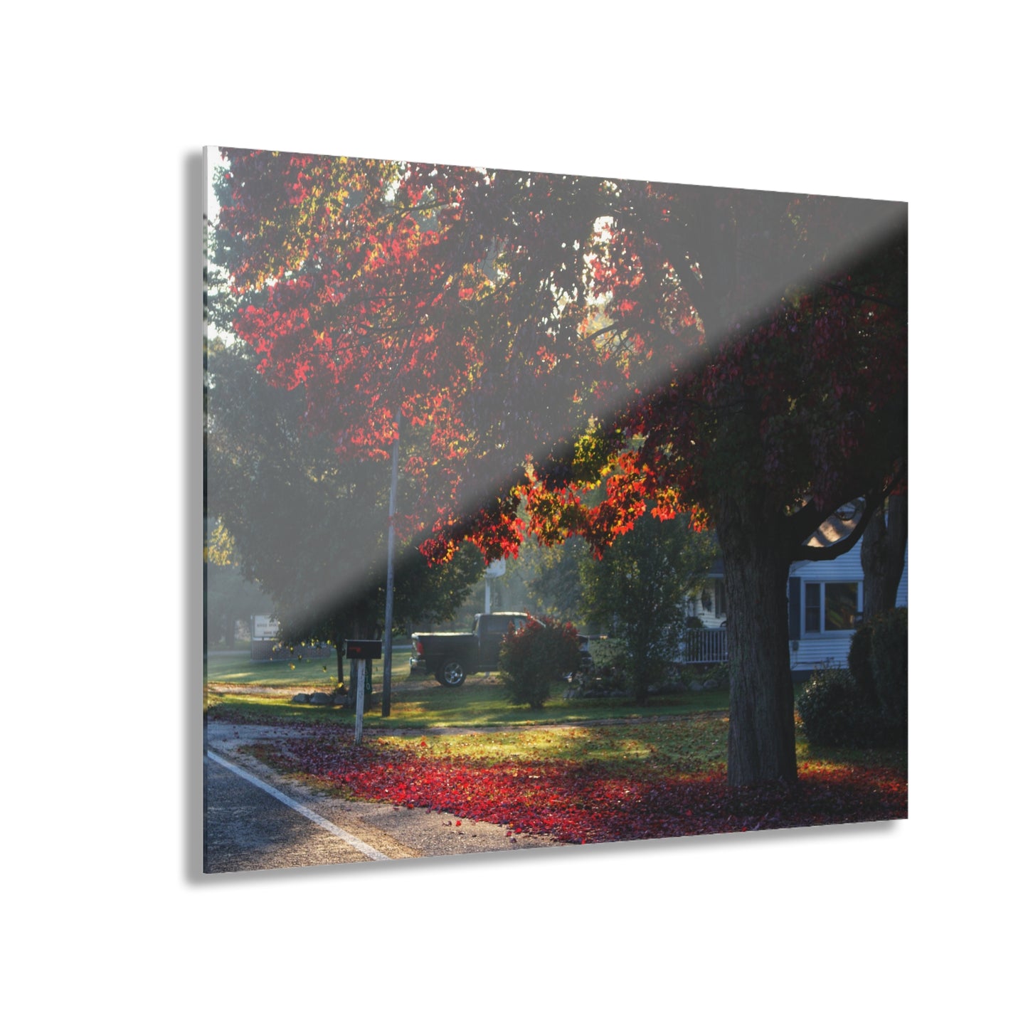 U R There Photography Red Crimson Leaves of Lum Rustic Farmhouse Acrylic Wall Print
