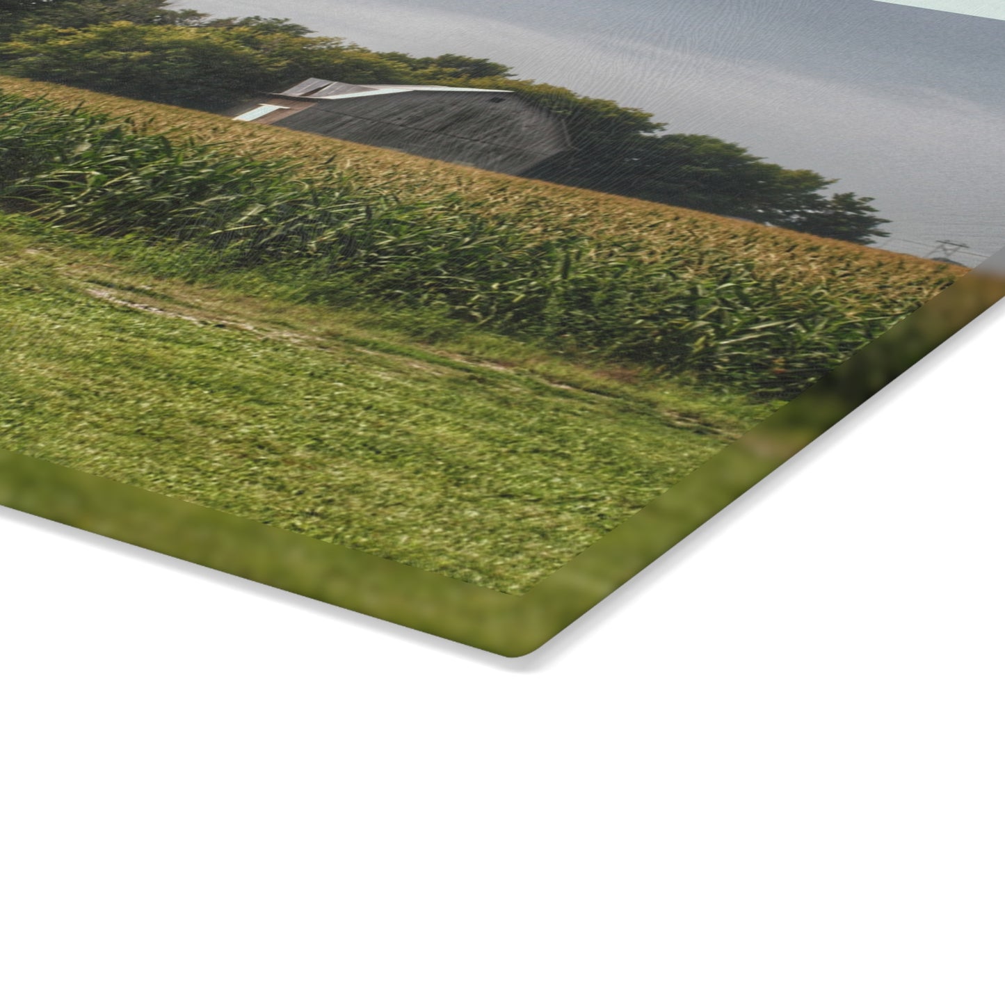 U R There Photography Quanicassee Road Grey Rustic Farmhouse Tempered-Glass Cutting Board