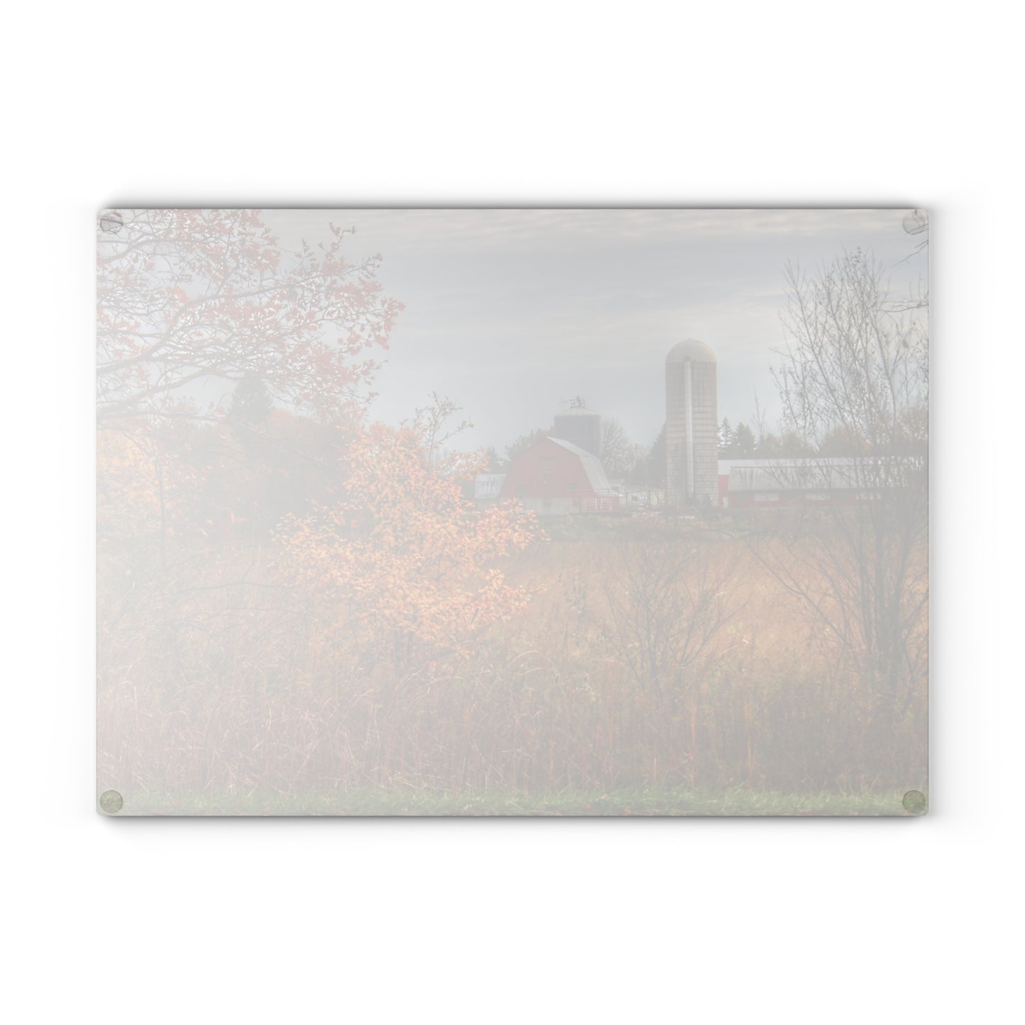 U R There Photography Vienna Road Red and Silo Rustic Farmhouse Tempered-Glass Cutting Board