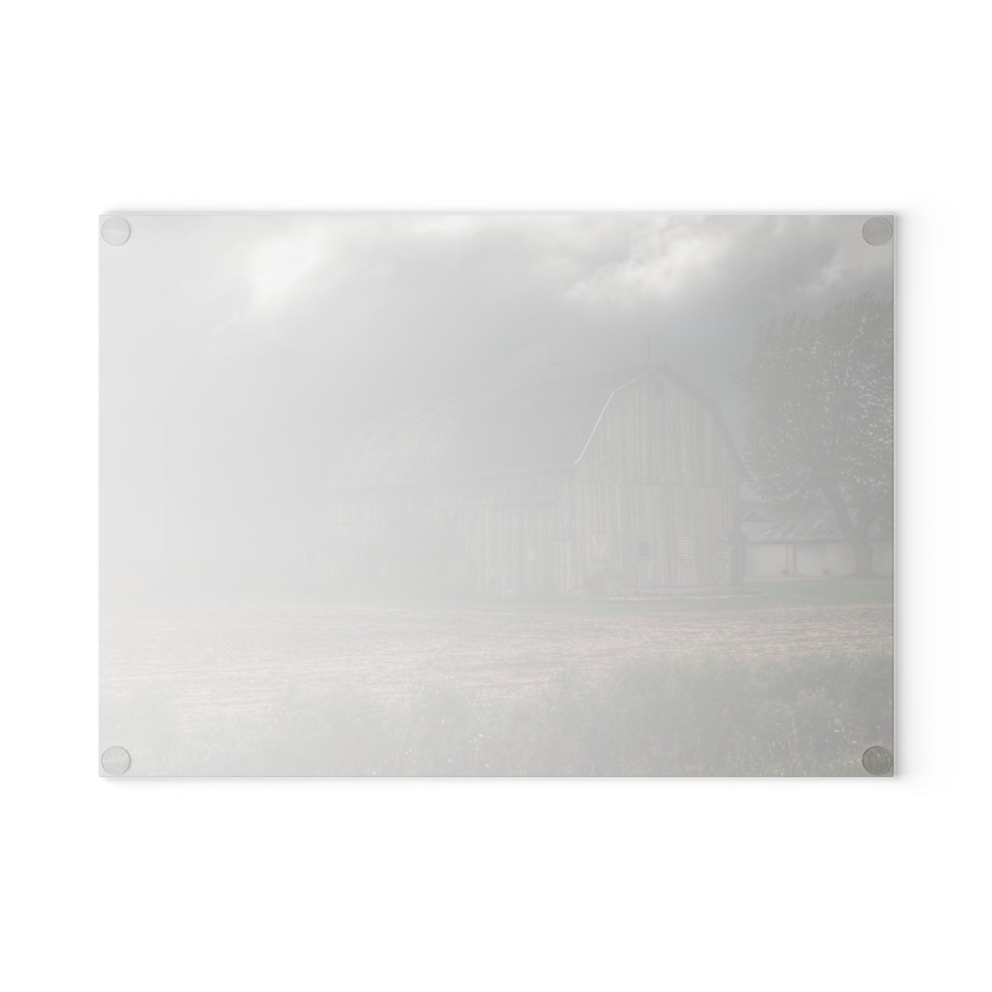 U R There Photography Waterman Road Grey II Rustic Farmhouse Tempered-Glass Cutting Board 8 "x 11"