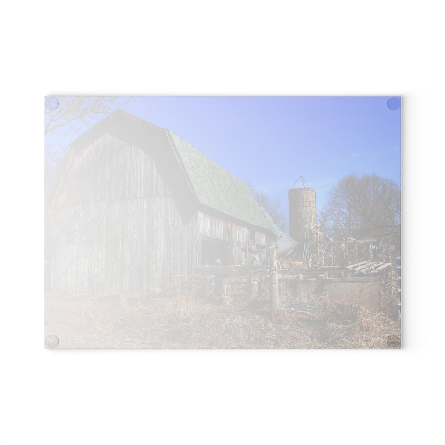 U R There Photography Romeo Plank Road Forgotten Greys Rustic Farmhouse Tempered-Glass Cutting Board 8"x 11"