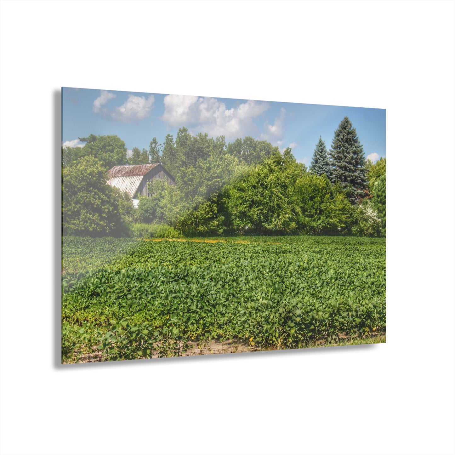 U R There Photography Canada Road Hidden Rustic Farmhouse Acrylic Wall Print