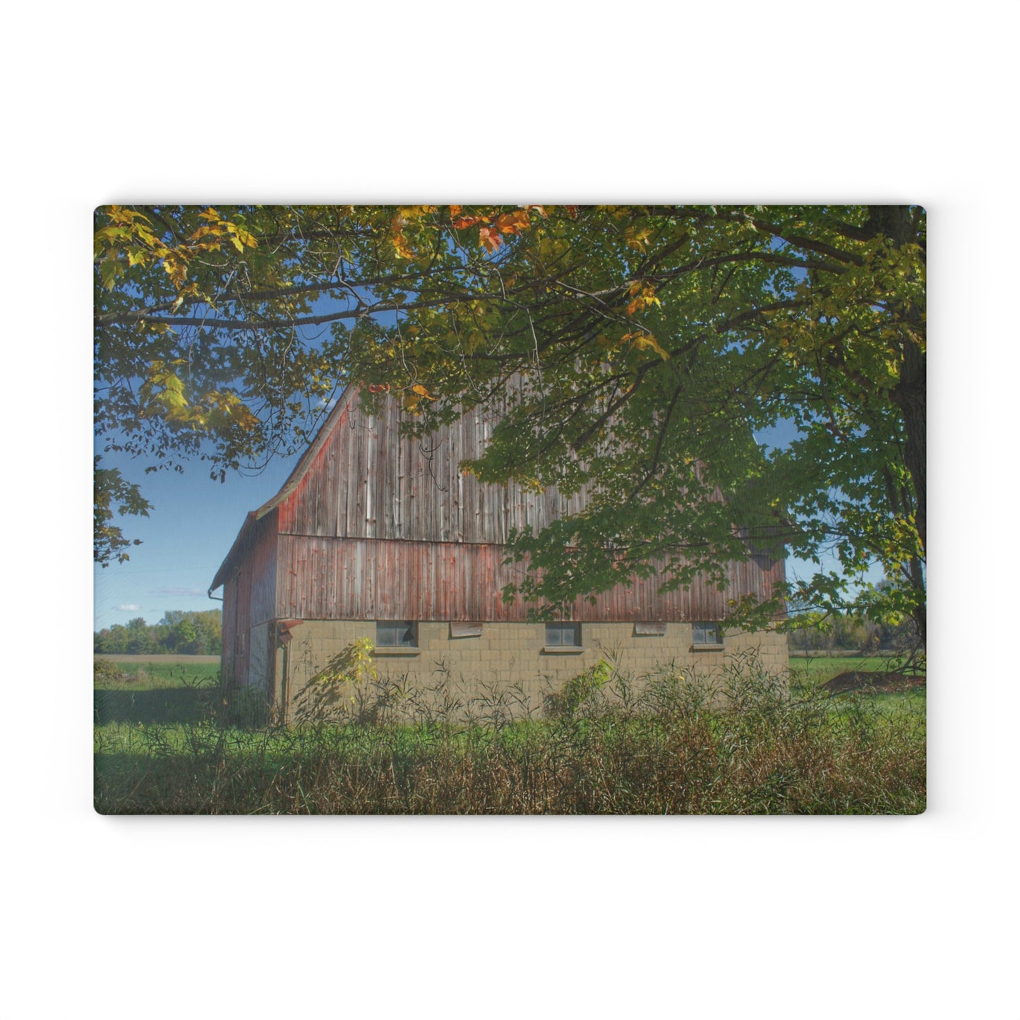U R There Photography Byington Road Red I Rustic Farmhouse Tempered-Glass Cutting Board
