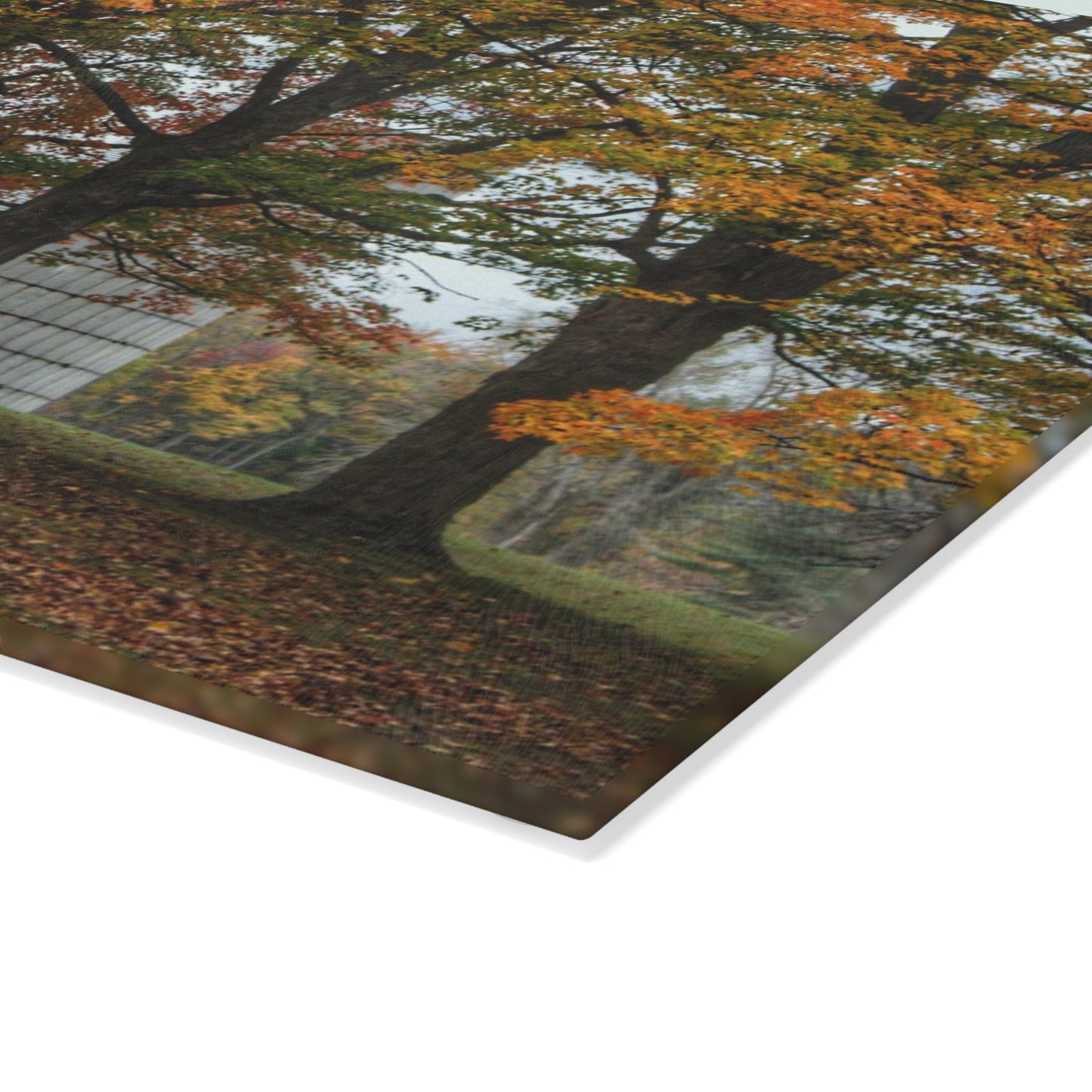 U R There Photography Brown Road Red in the Fall Rustic Farmhouse Tempered-Glass Cutting Board