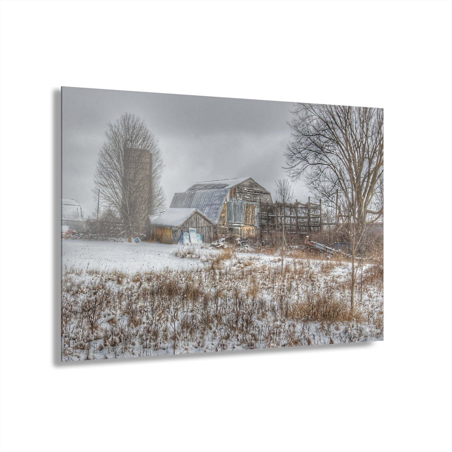 U R There Photography Vermilya Grey and Silo Rustic Farmhouse Acrylic Wall Print