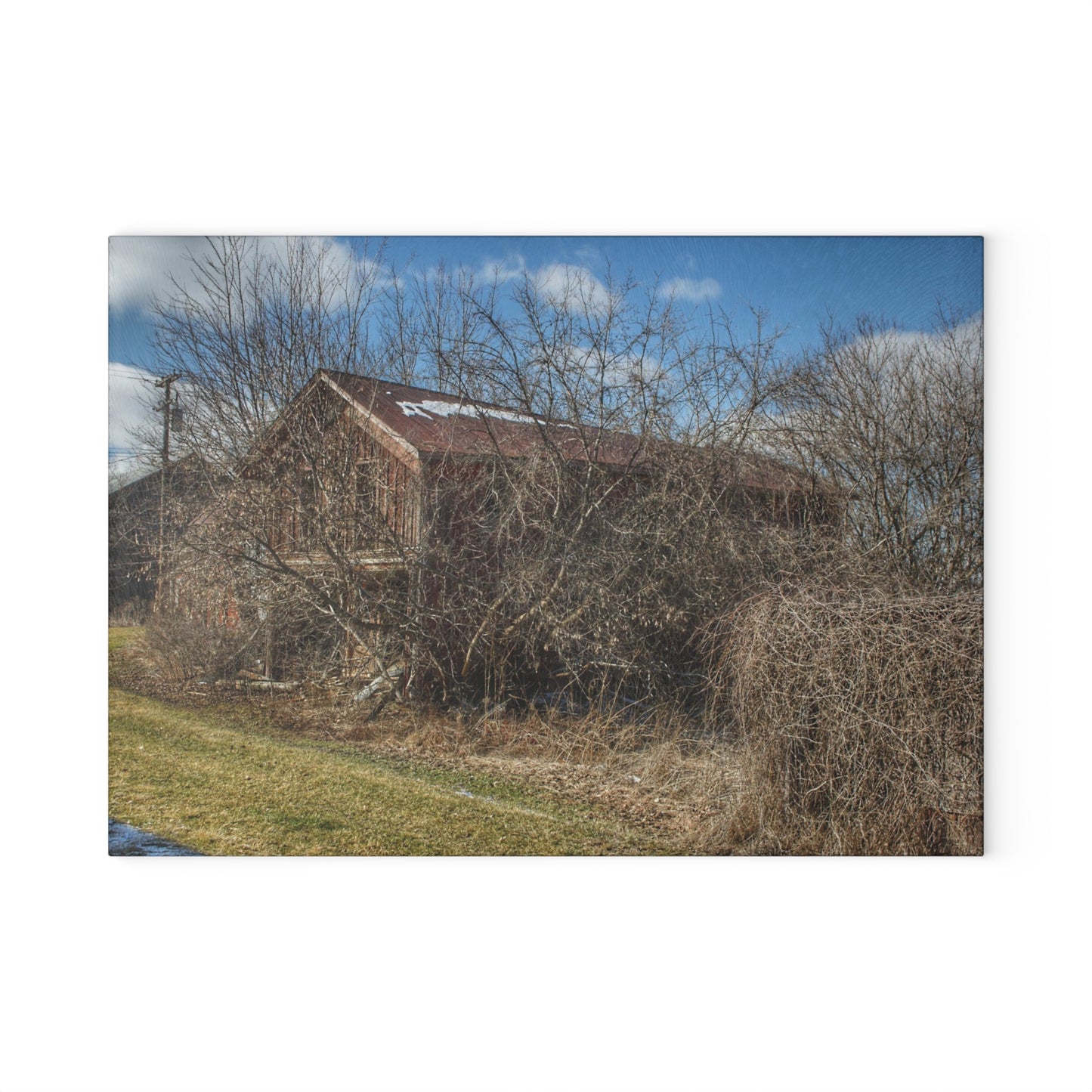 U R There Photography Buried Burnside Greys I Rustic Farmhouse Tempered-Glass Cutting Board