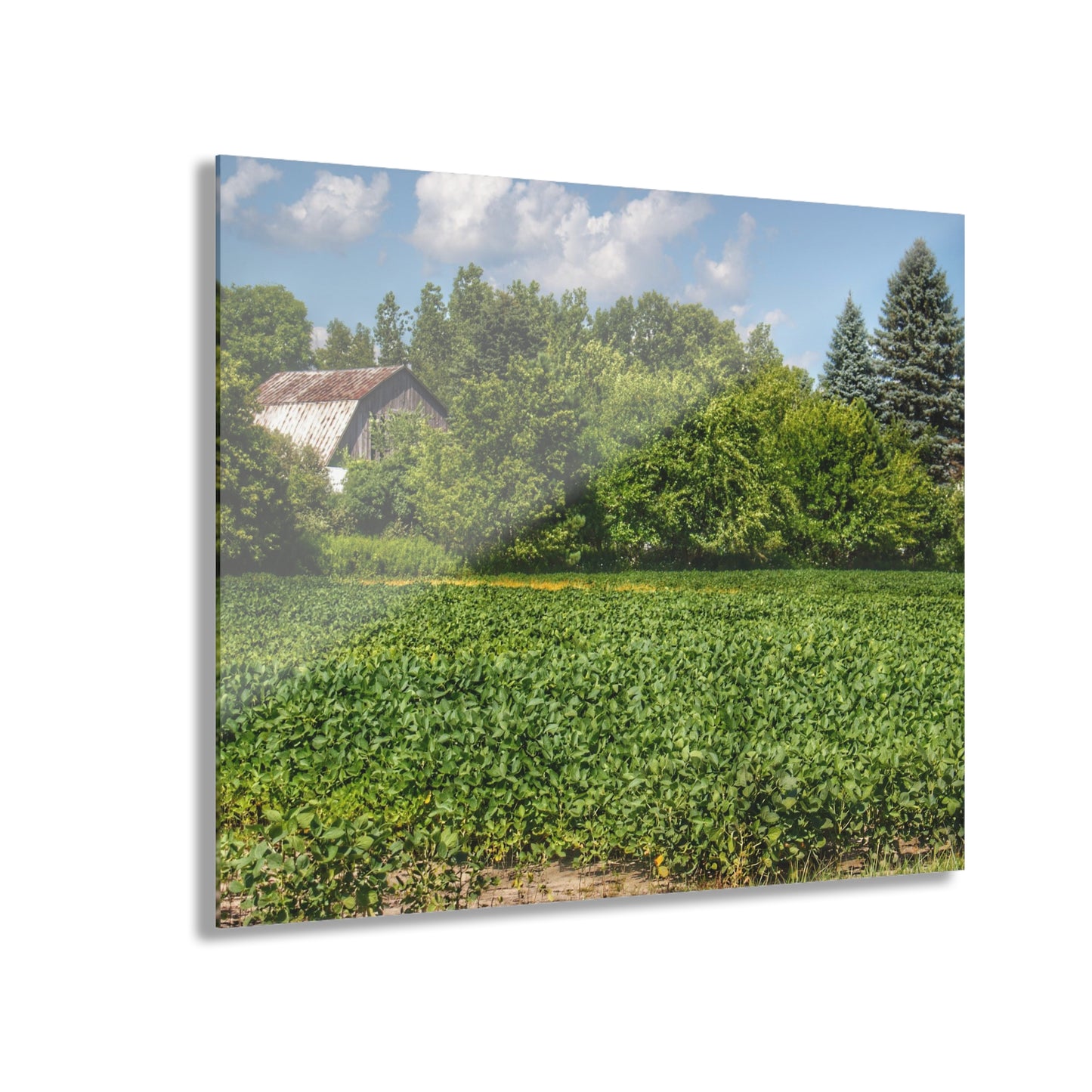 U R There Photography Canada Road Hidden Rustic Farmhouse Acrylic Wall Print