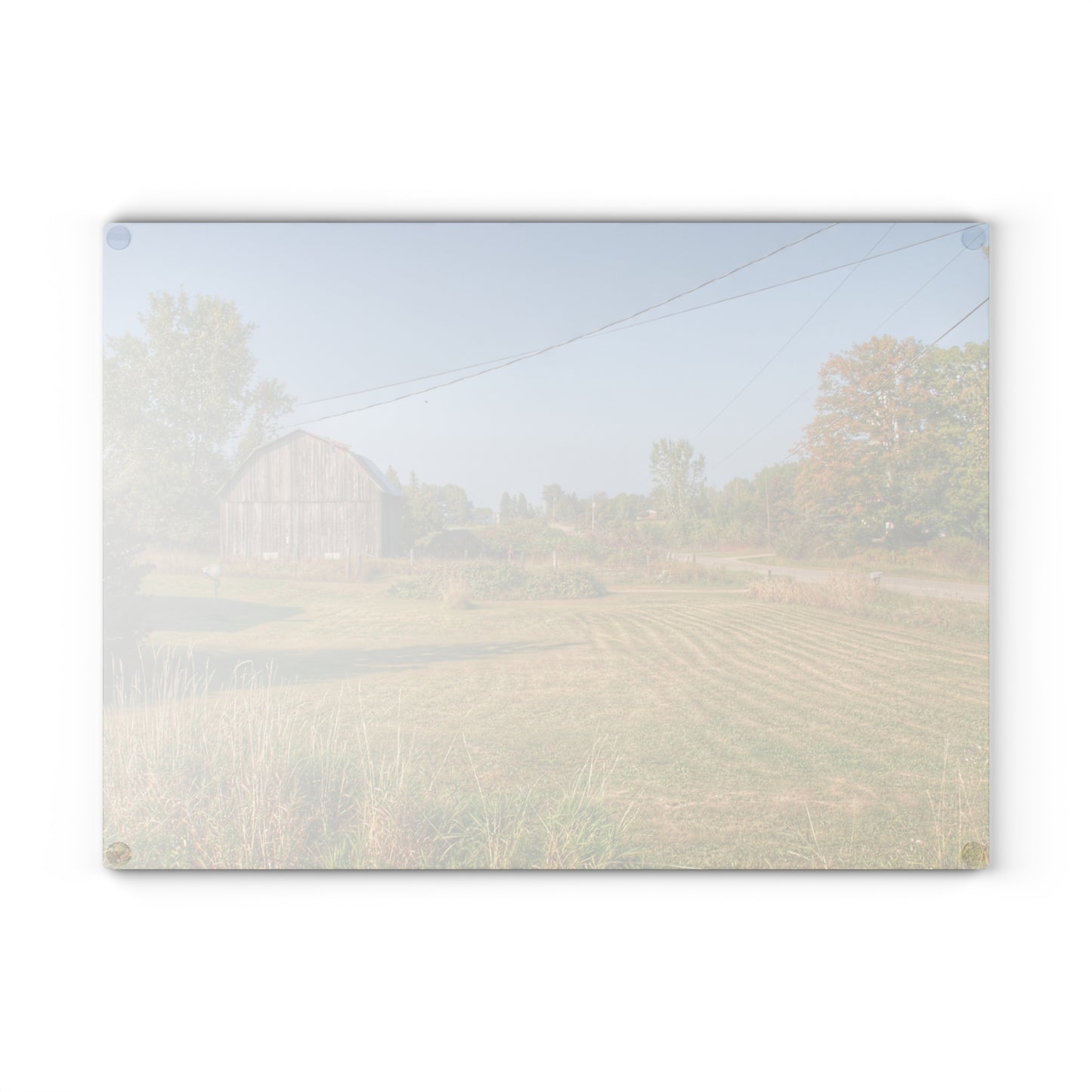 U R There Photography Snover Grey II Rustic Farmhouse Tempered-Glass Cutting Board