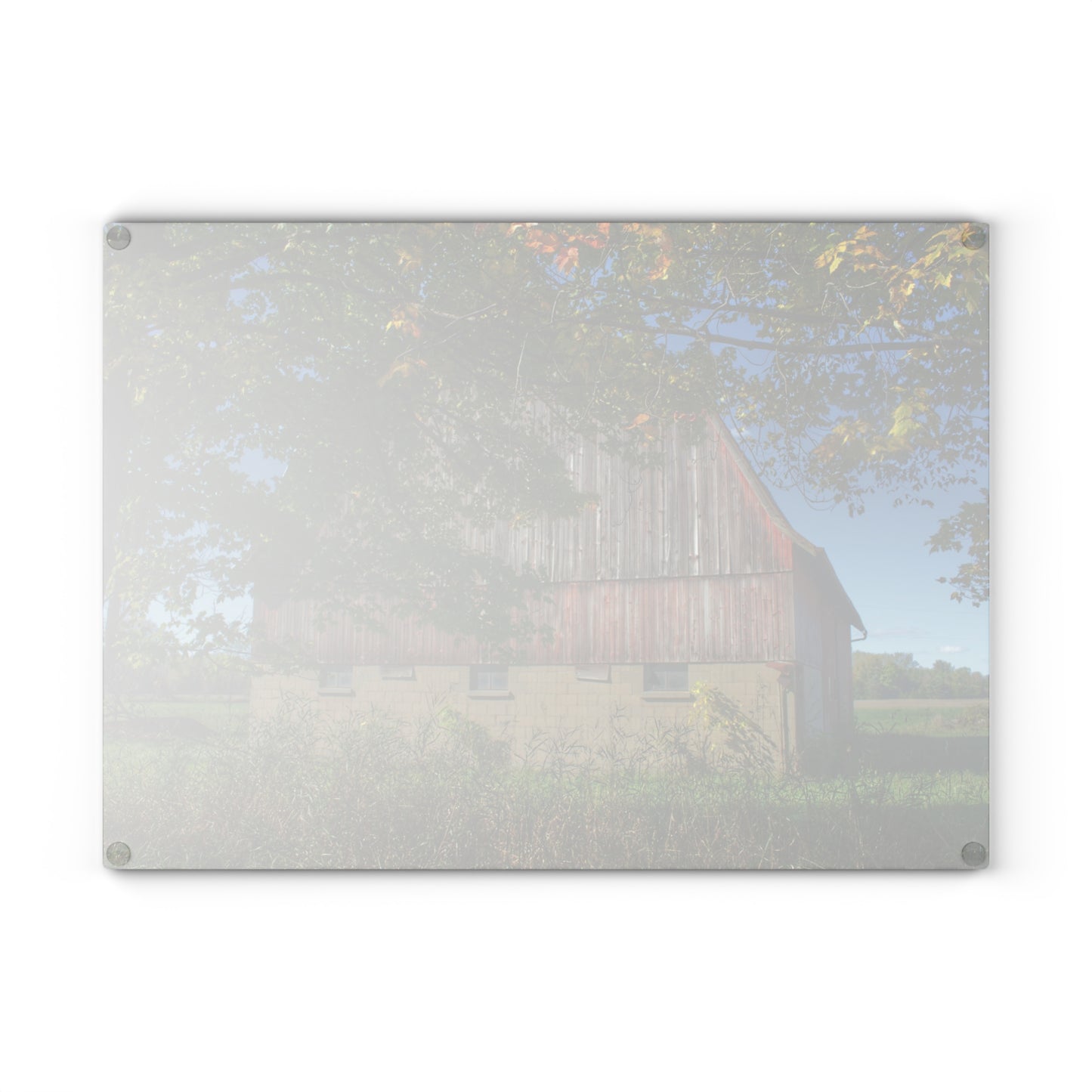 U R There Photography Byington Road Red I Rustic Farmhouse Tempered-Glass Cutting Board