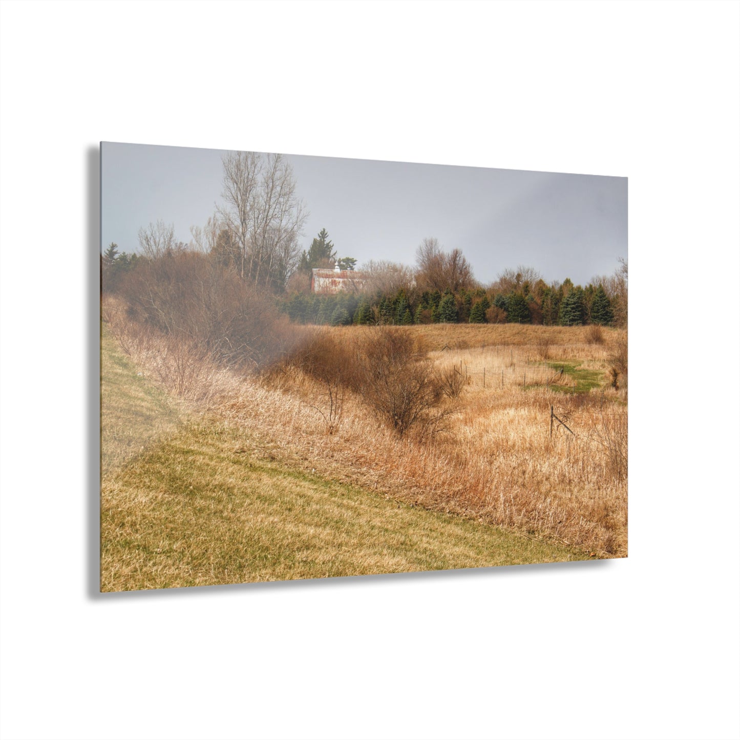 U R There Photography Beyond the Short Pines Rustic Farmhouse Acrylic Wall Print