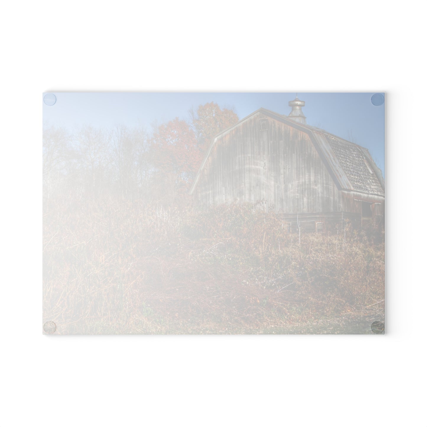 U R There Photography Vassar Road Hidden Grey II Rustic Farmhouse Tempered-Glass Cutting Board