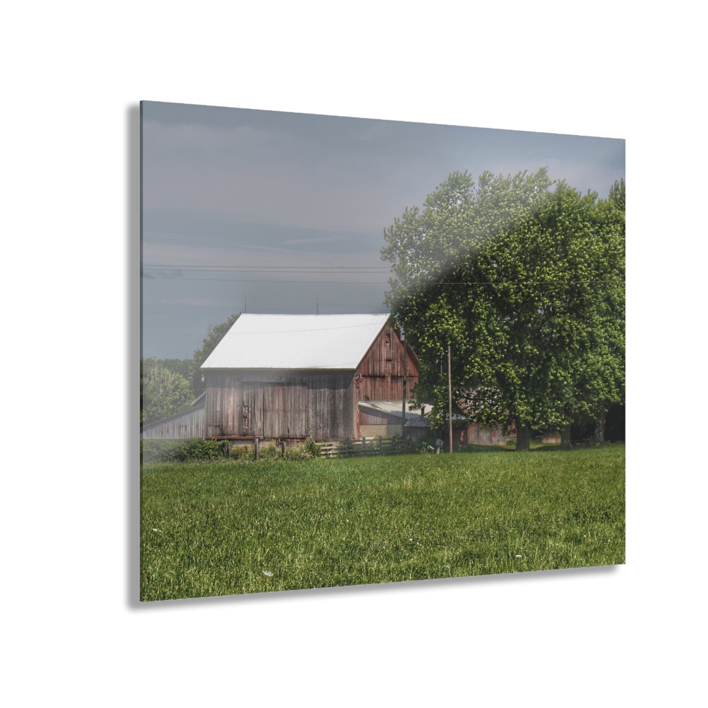 U R There Photography Castle Road Cow Barn III Rustic Farmhouse Acrylic Wall Print