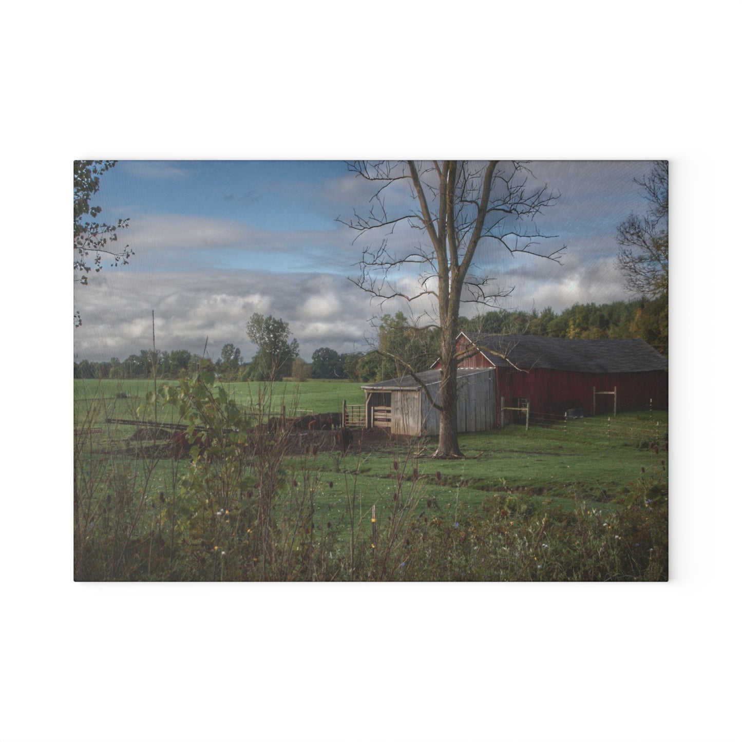 U R There Photography West Oregon Road Hidden Red IV Rustic Farmhouse Tempered-Glass Cutting Board