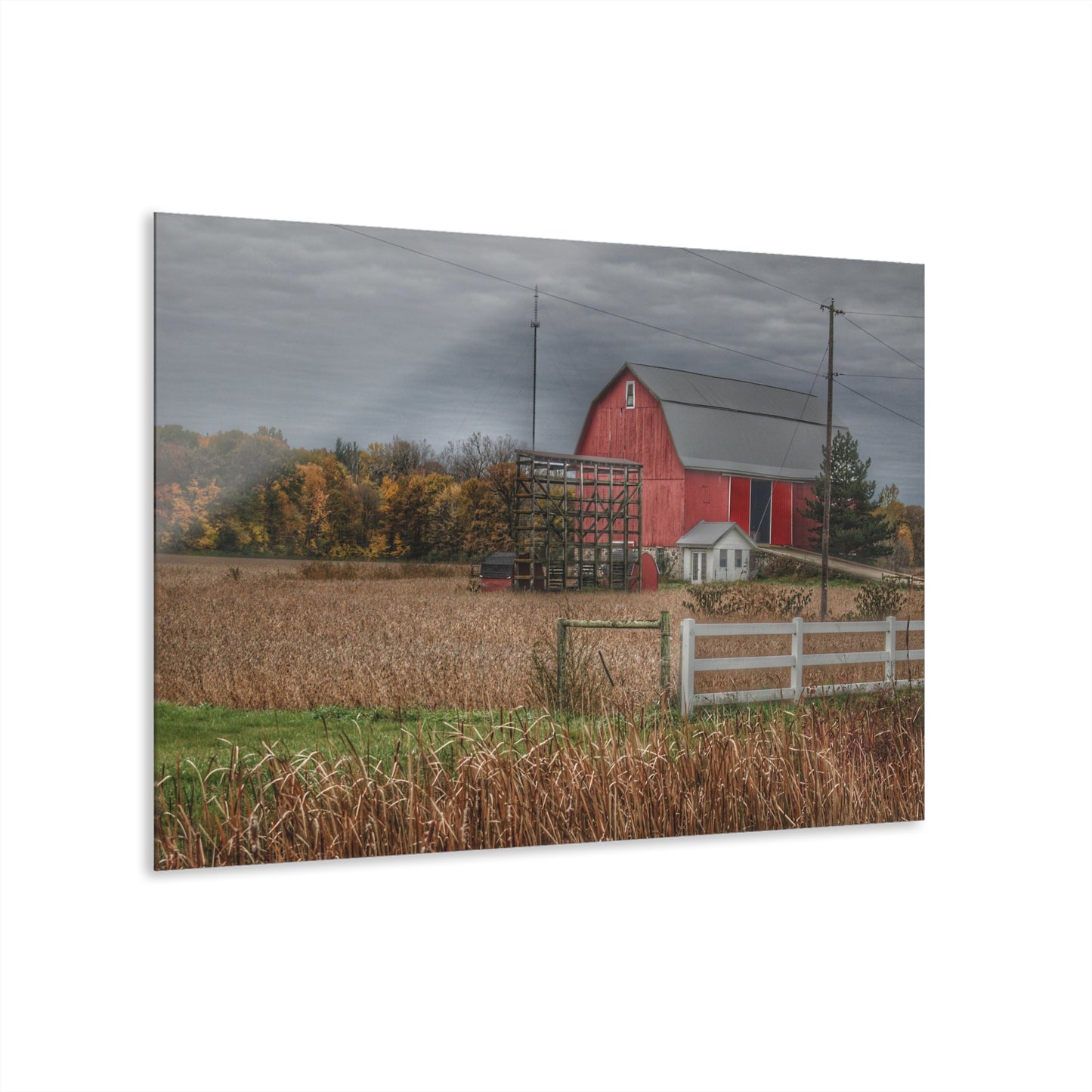 U R There Photography Barnes Road Red in Fall Rustic Farmhouse Acrylic Wall Print
