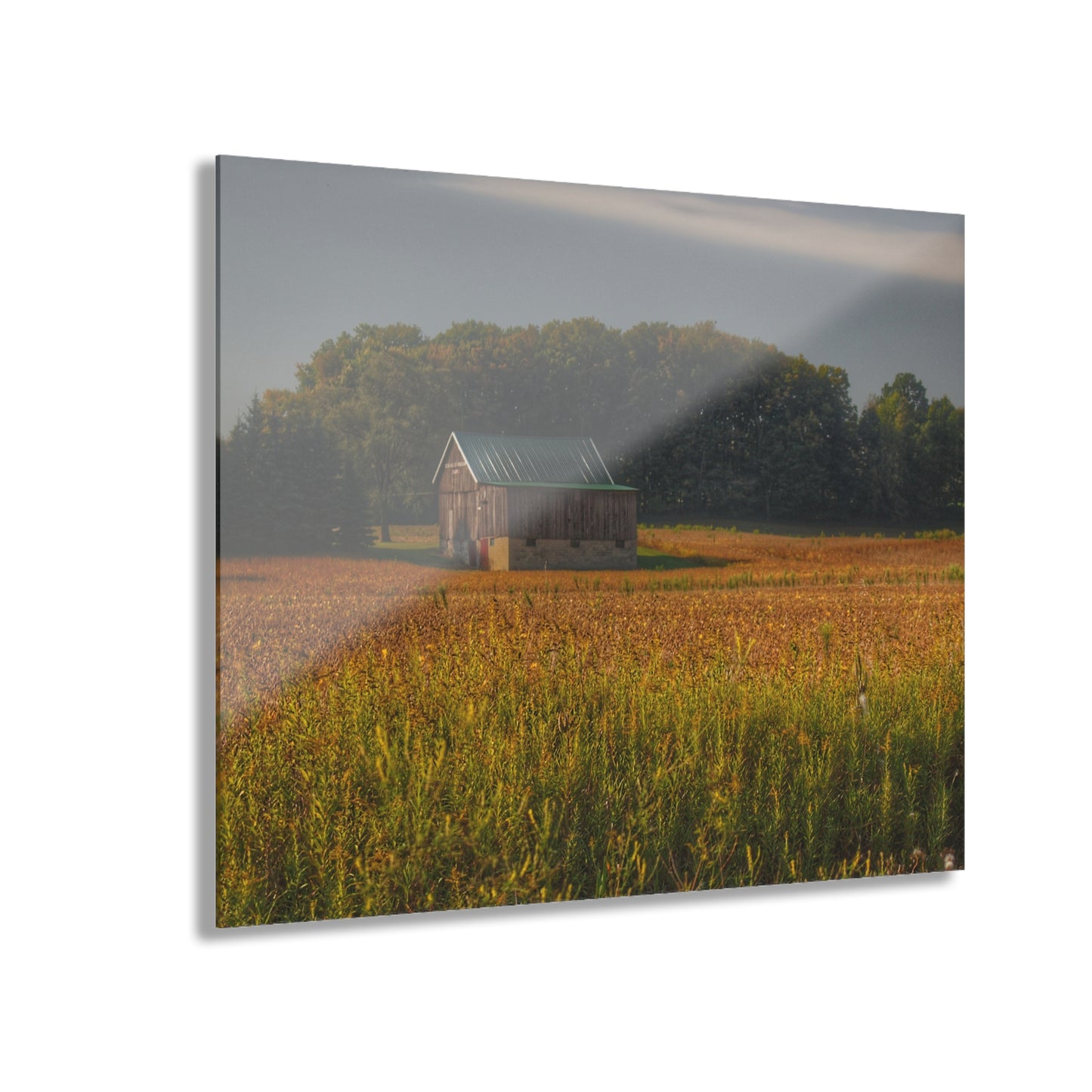 U R There Photography Snover Grey I Rustic Farmhouse Acrylic Wall Print