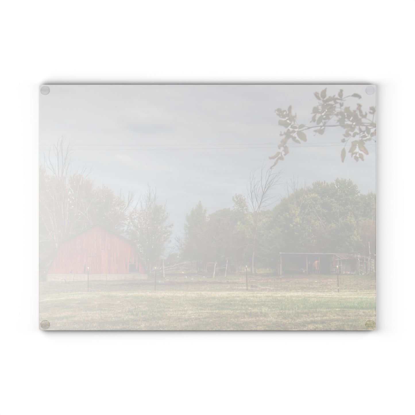 U R There Photography Petz Road Farm Rustic Farmhouse Tempered-Glass Cutting Board