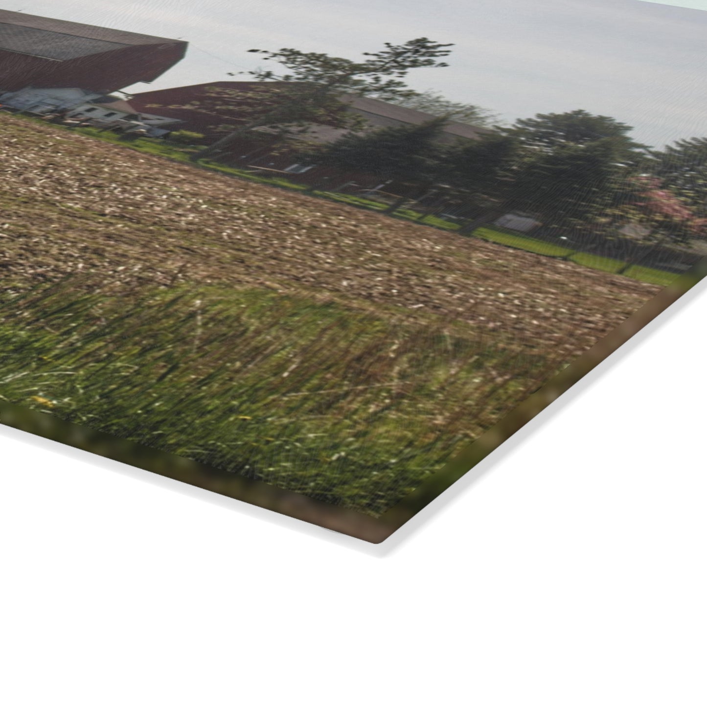 U R There Photography Bishop Road Reds IV Rustic Farmhouse Tempered-Glass Cutting Board