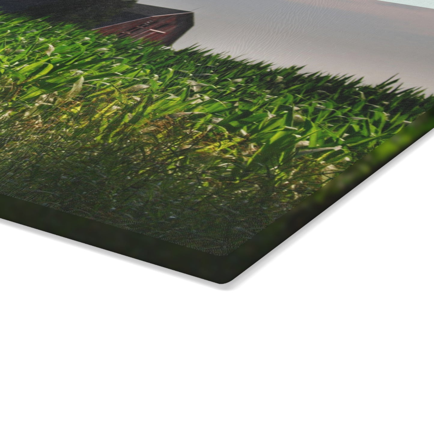 U R There Photography Beyond the Corn in Metamora Rustic Farmhouse Tempered-Glass Cutting Board