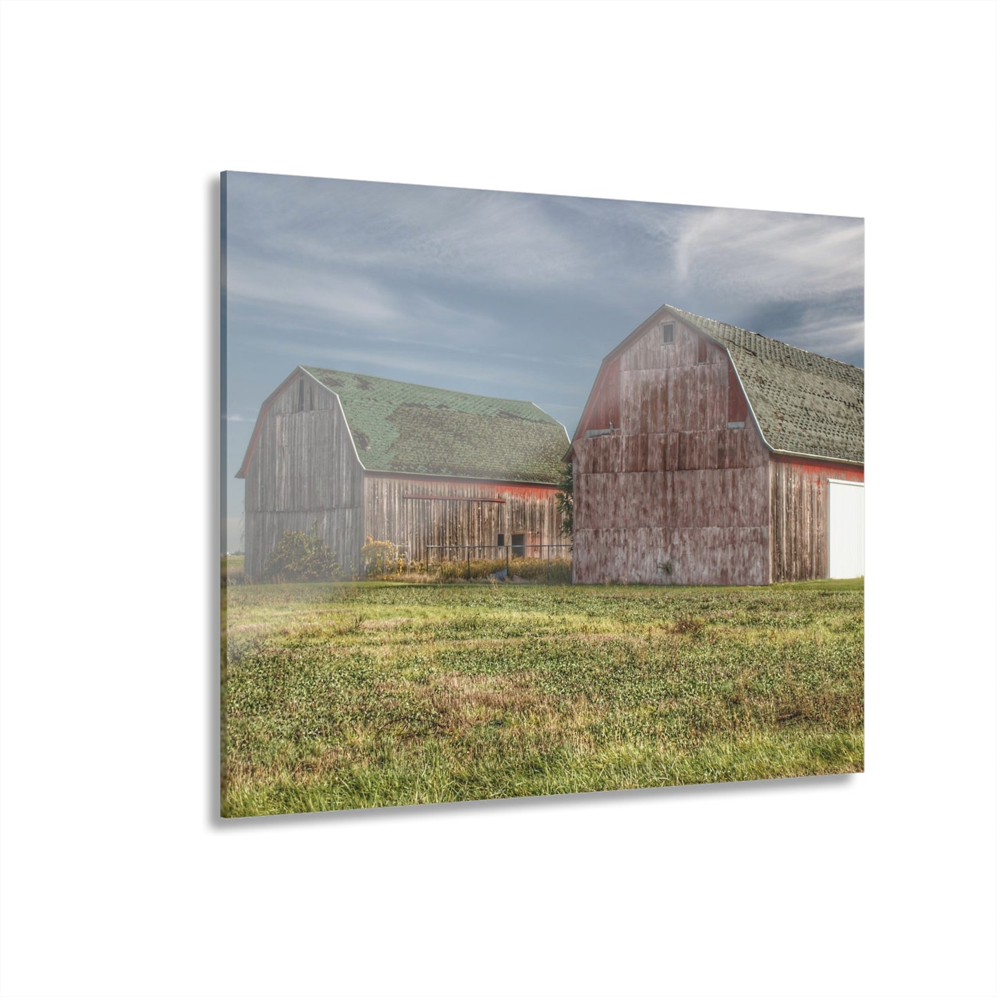 U R There Photography Vassar Twin Reds Rustic Farmhouse Acrylic Wall Print
