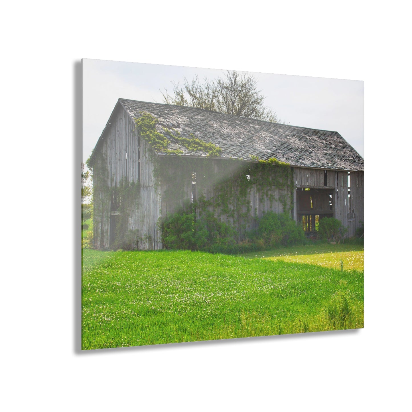 U R There Photography Caro Road Twin Grey II Rustic Farmhouse Acrylic Wall Print